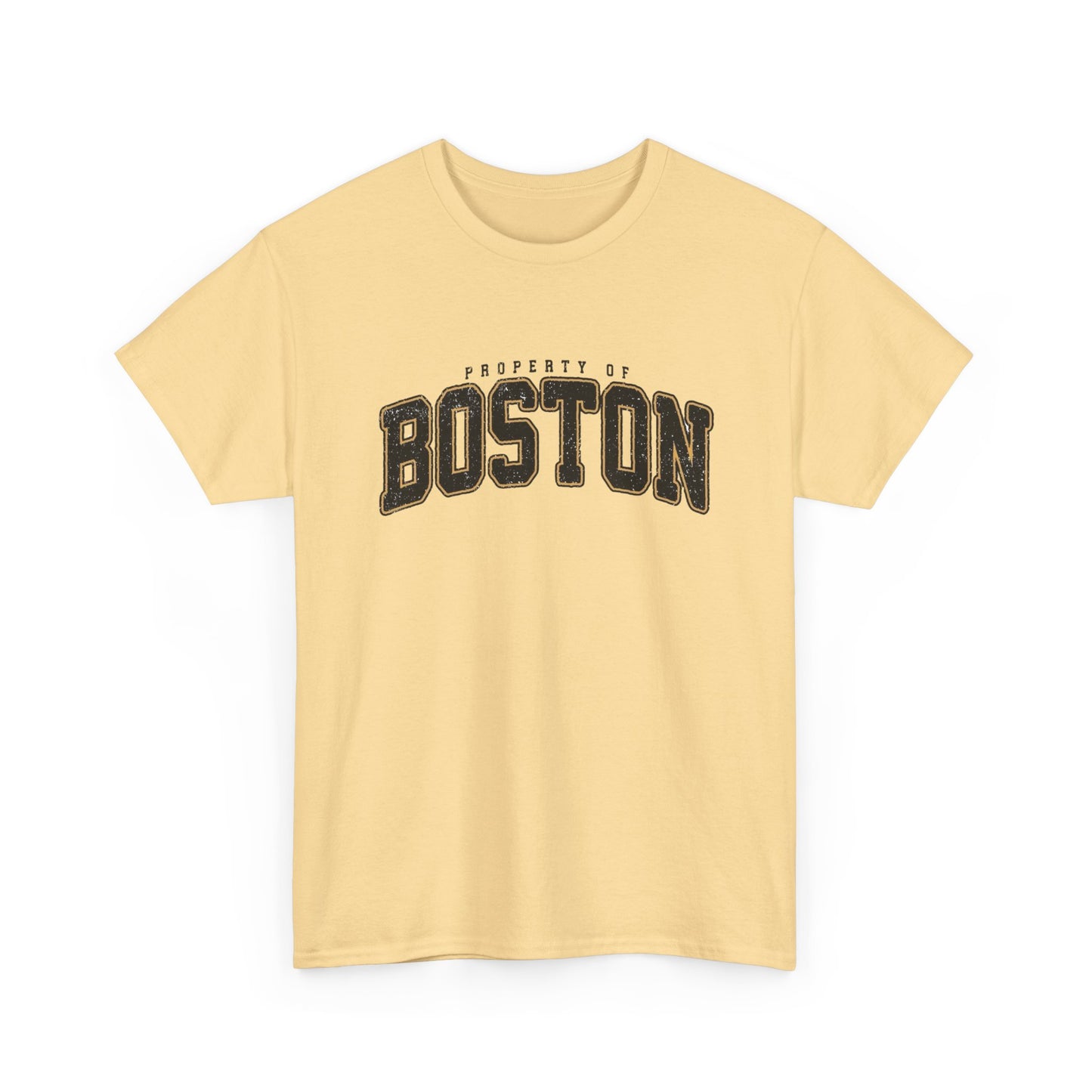 Property Of Boston Graphic T Shirt ADULT NEW