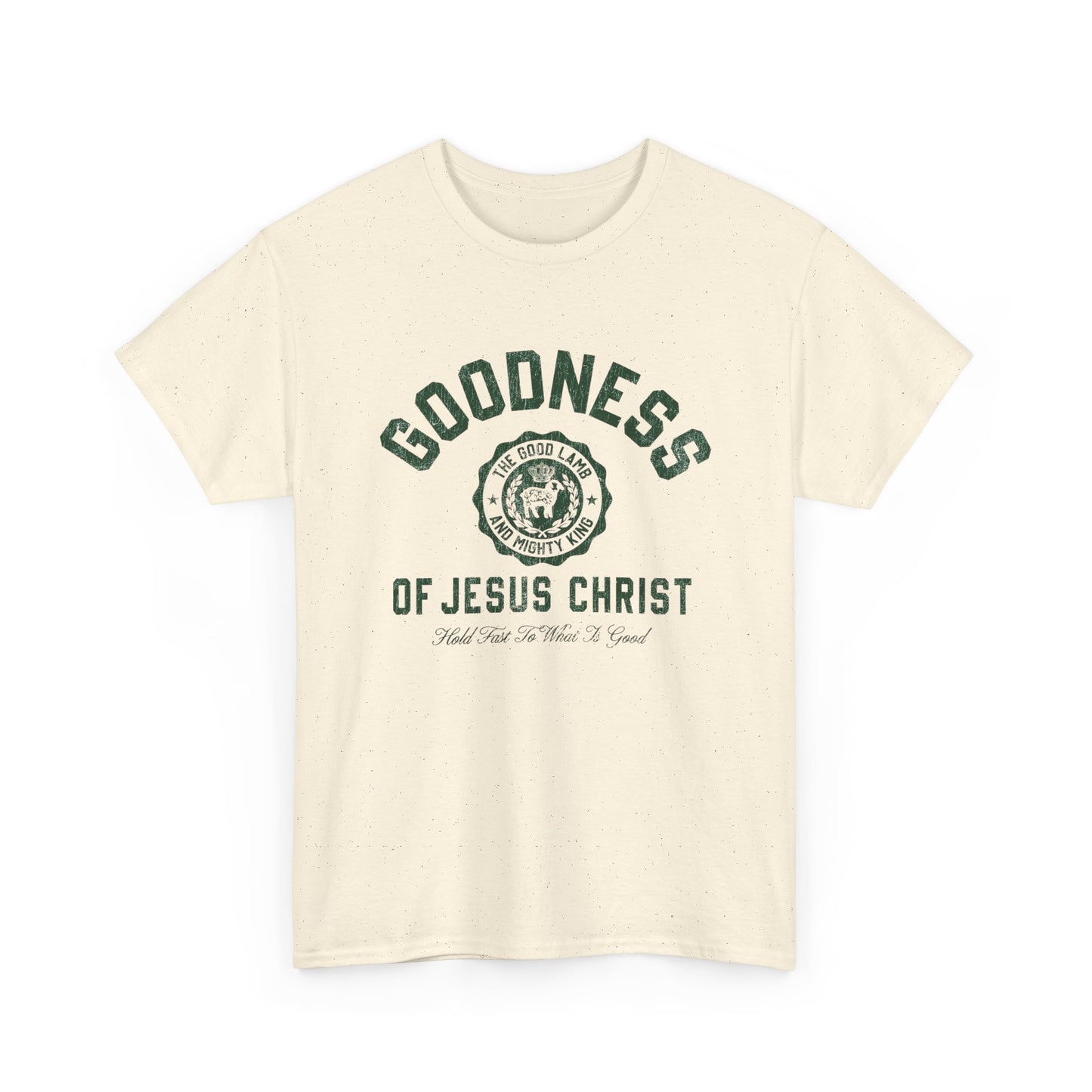 Goodness Of Jesus Christ Graphic T Shirt ADULT NEW