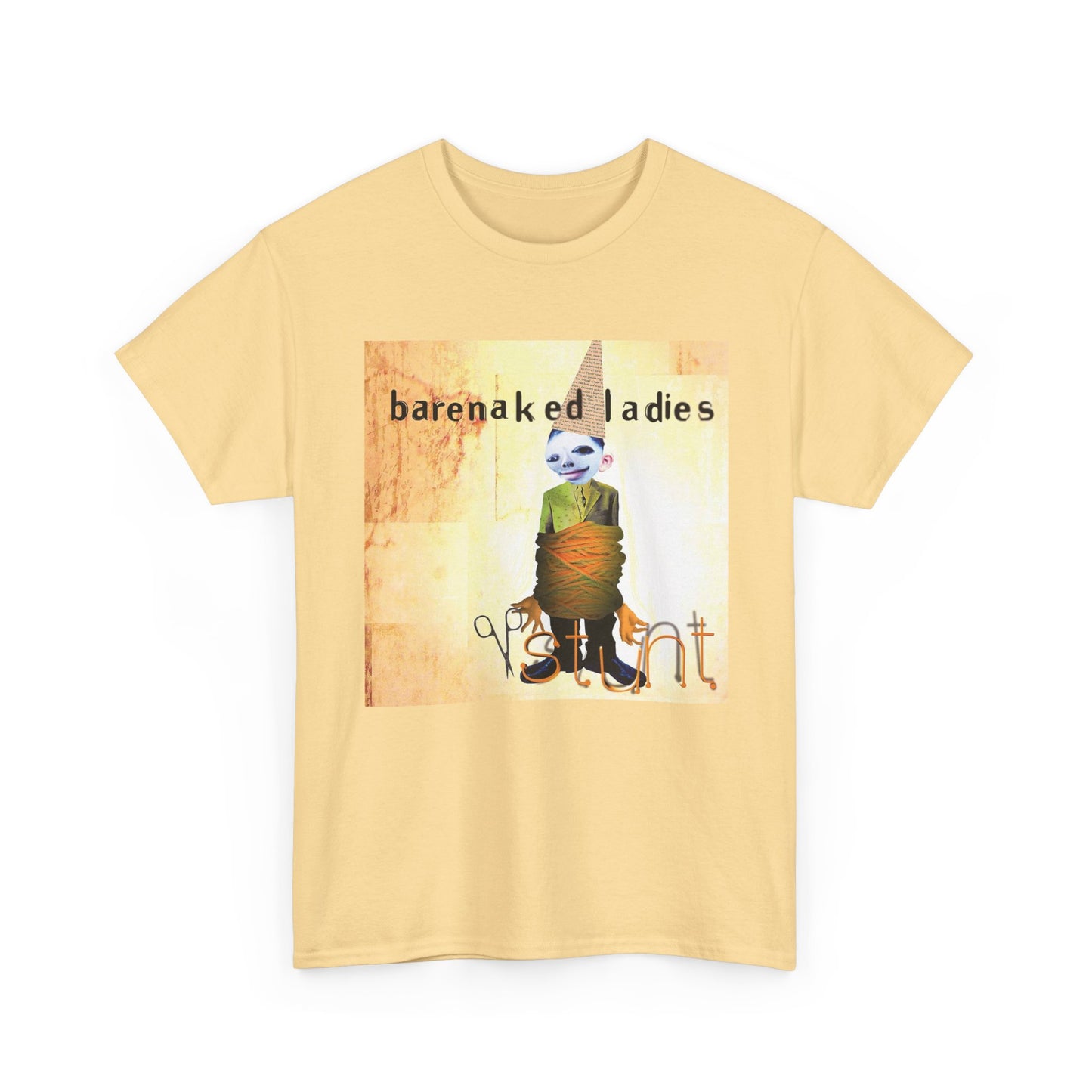 Bare naked Ladies Tshirt Album Cover Vintage Merch art Unisex Heavy Cotton Tee