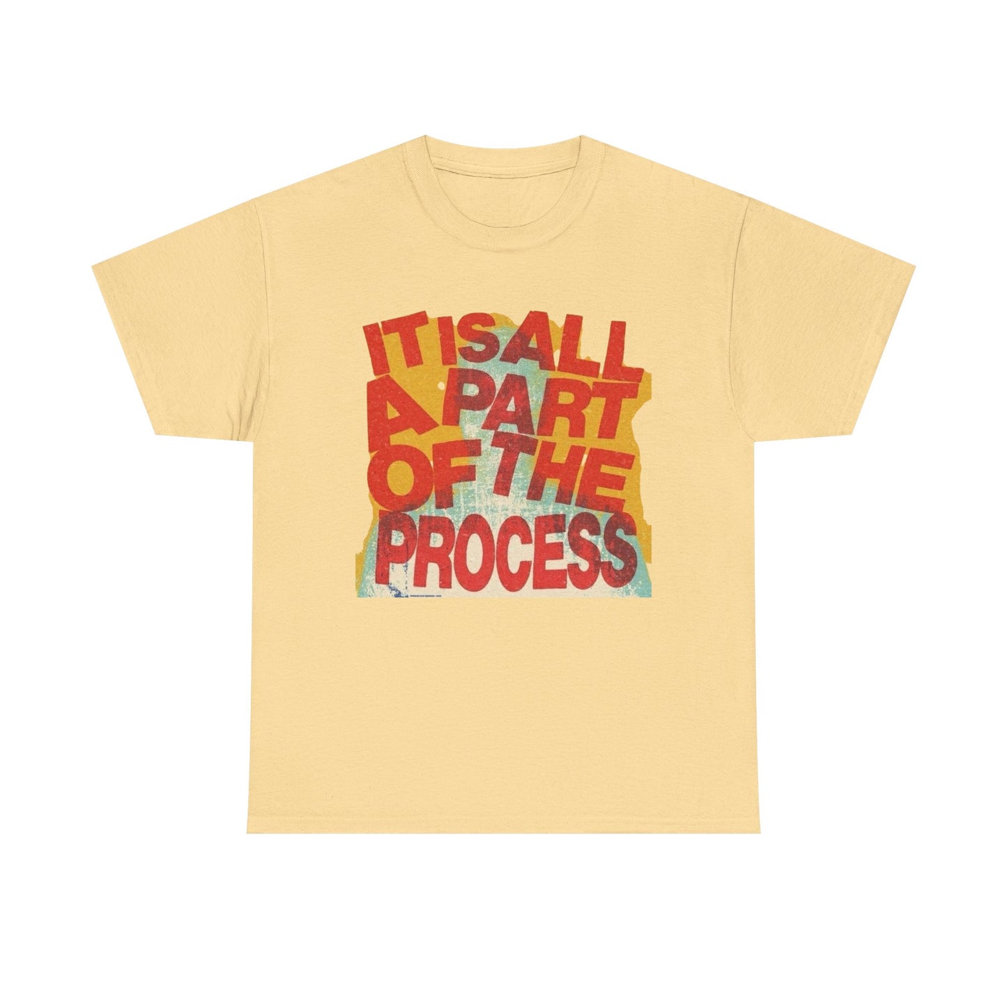 It's All Apart Of The Process Graphic T-Shirt Unisex Heavy Cotton Tee Gift