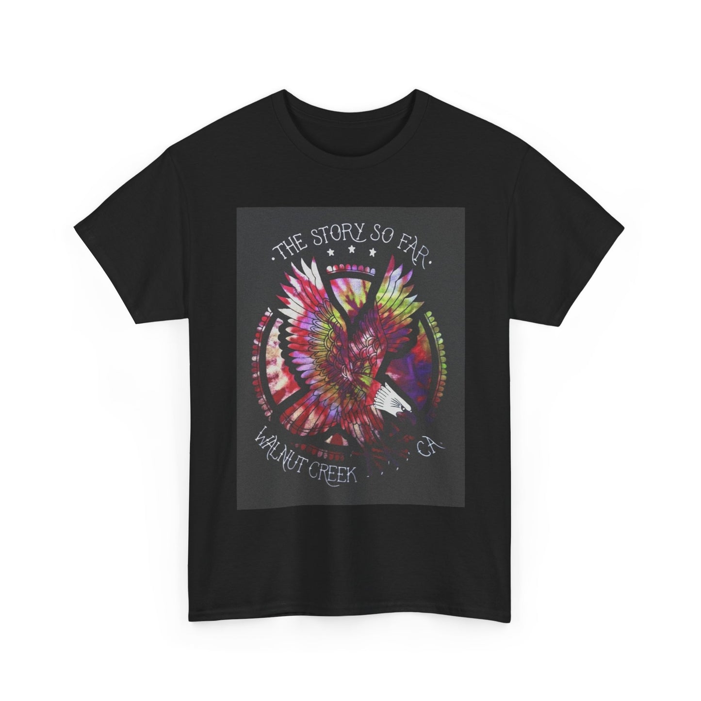 The story so far T-shirt vintage California punk band Unisex Heavy Cotton Tee
