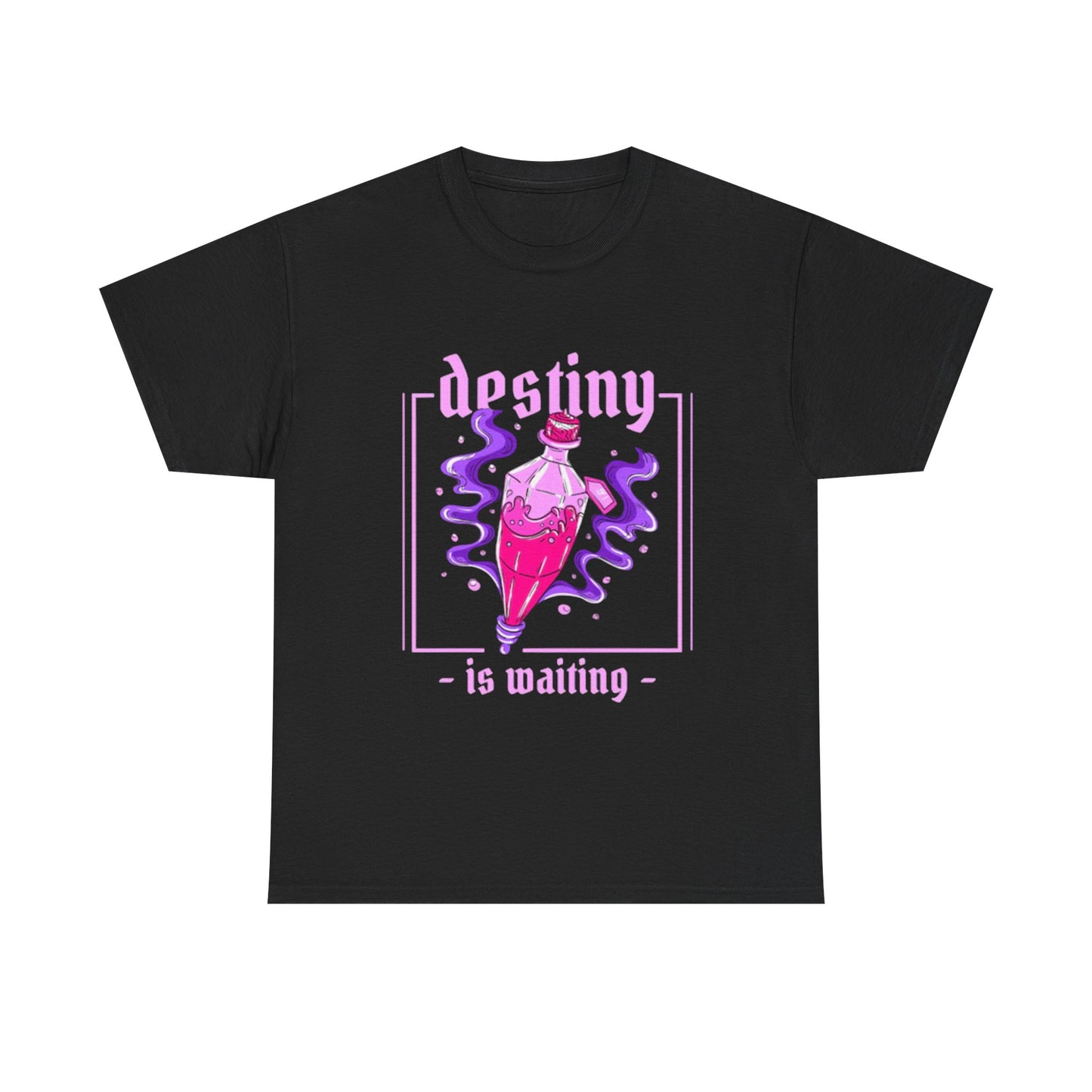Destiny Is Waiting Graphic T Shirt NEW ADULT TEE