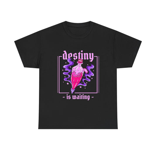 Destiny Is Waiting Graphic T Shirt NEW ADULT TEE