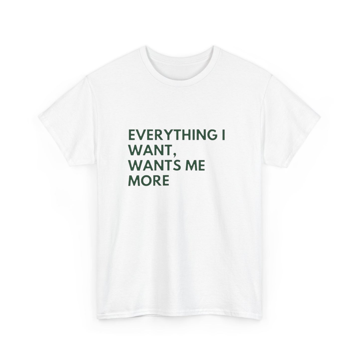 Everything I Want Wants Me More Graphic T Shirt NEW ADULT Tee