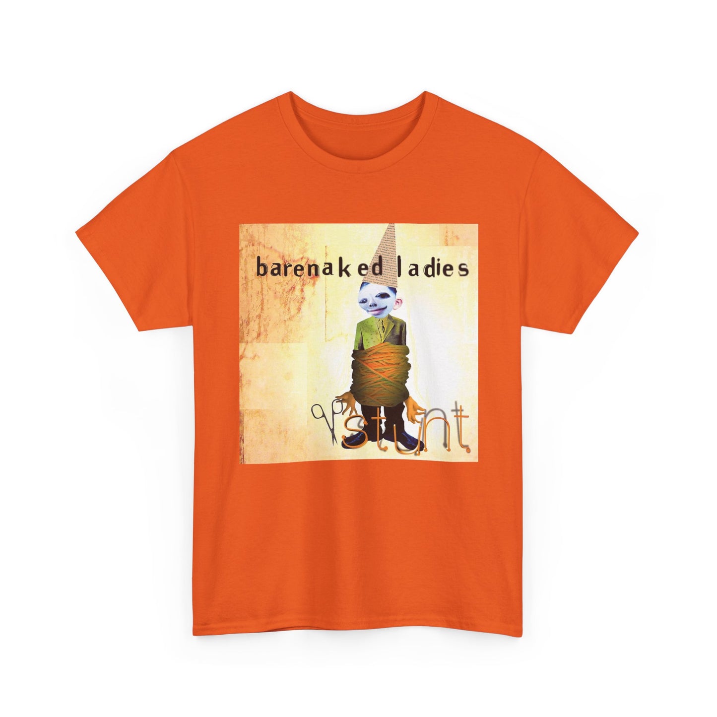 Bare naked Ladies Tshirt Album Cover Vintage Merch art Unisex Heavy Cotton Tee