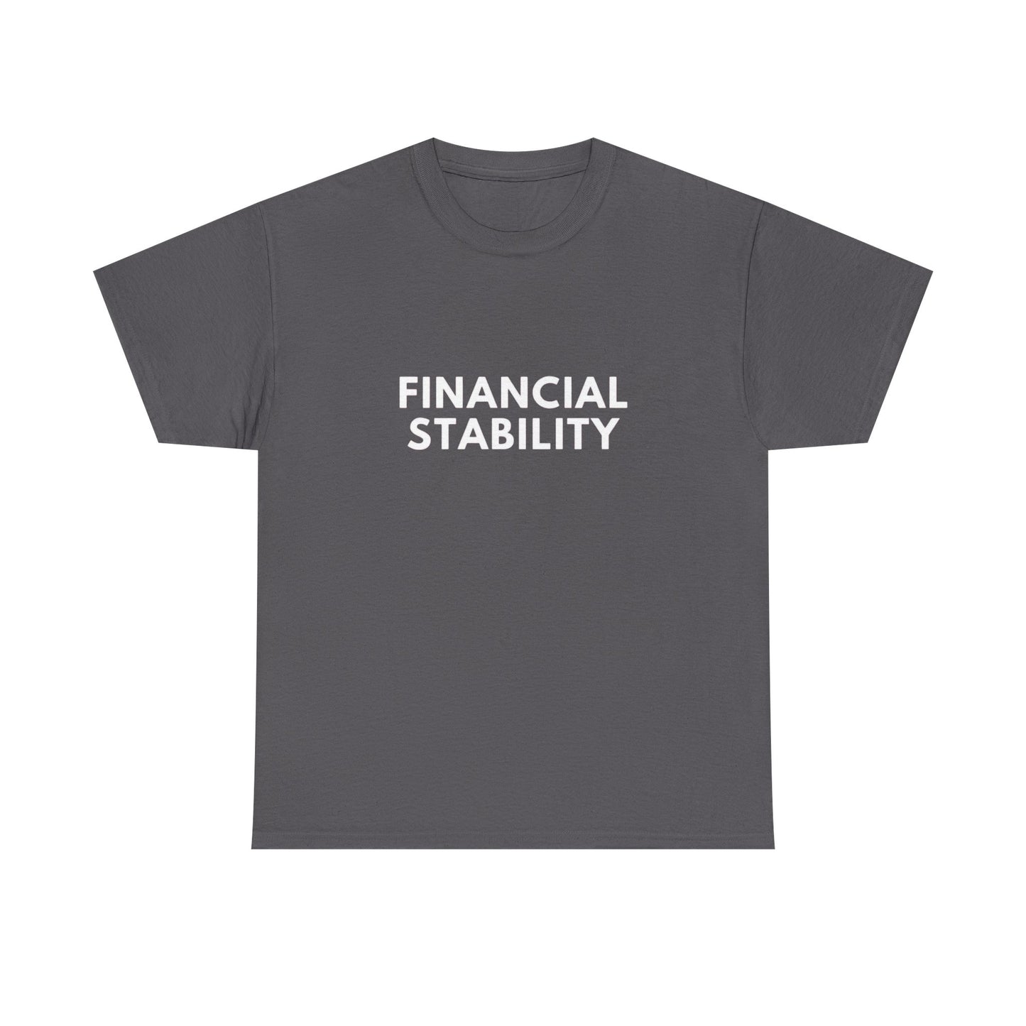 Financial Stability Graphic T Shirt NEW ADULT Tee