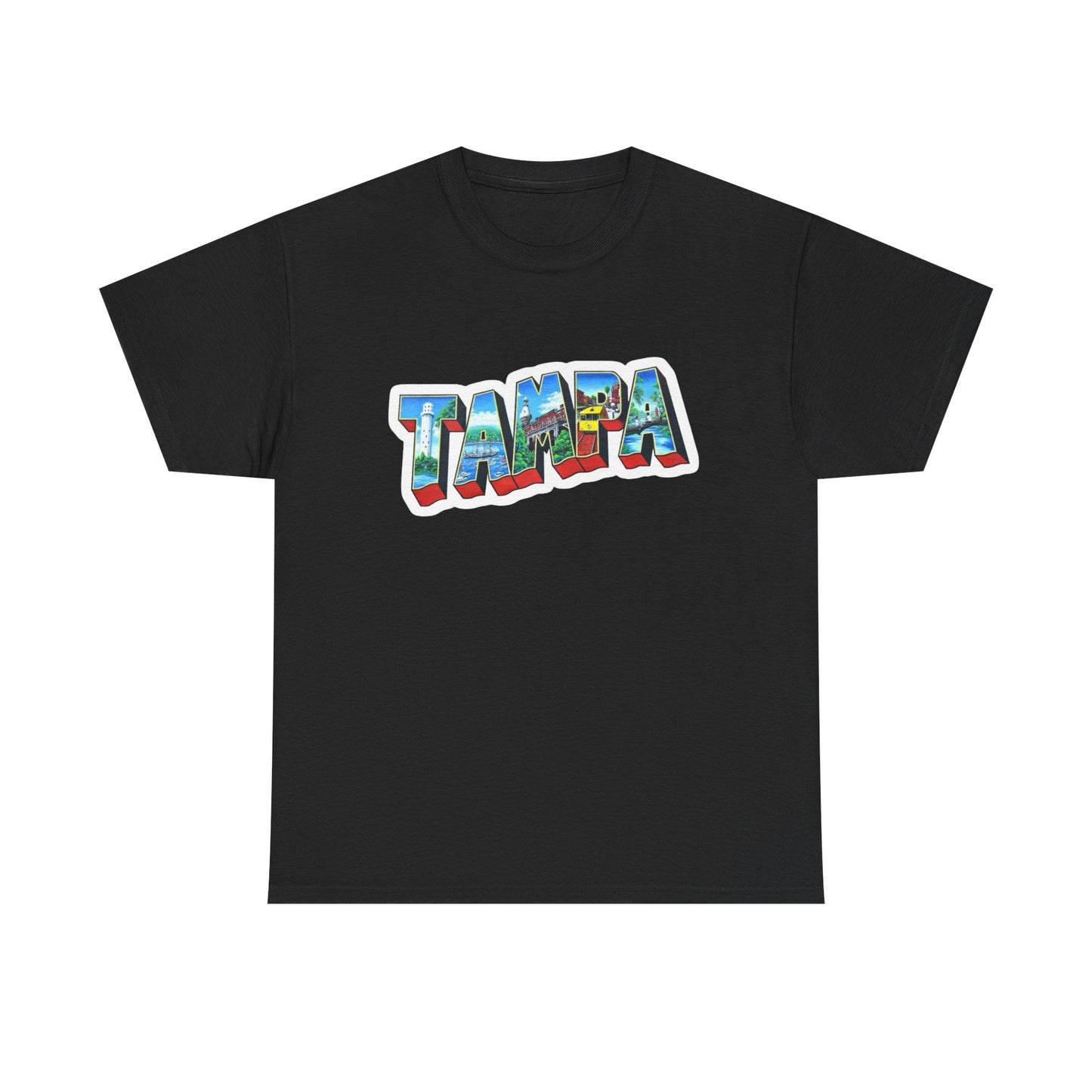 Tampa Bay FL Graphic T Shirt NEW ADULT