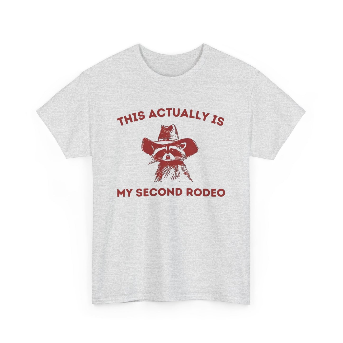 This Is My Second Rodeo Funny Graphic T Shirt Regular Men's Heavy Cotton Tee