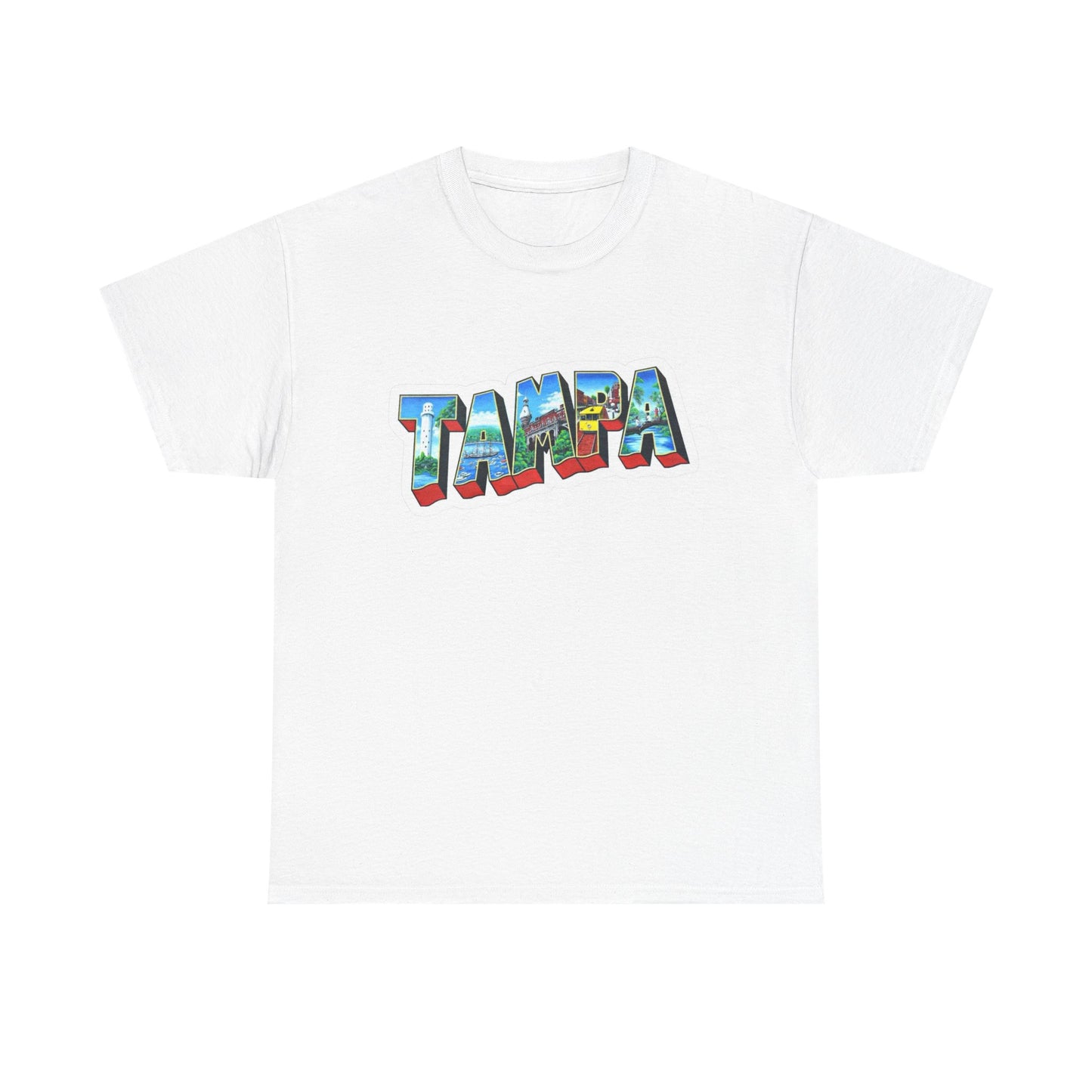 Tampa Bay FL Graphic T Shirt NEW ADULT
