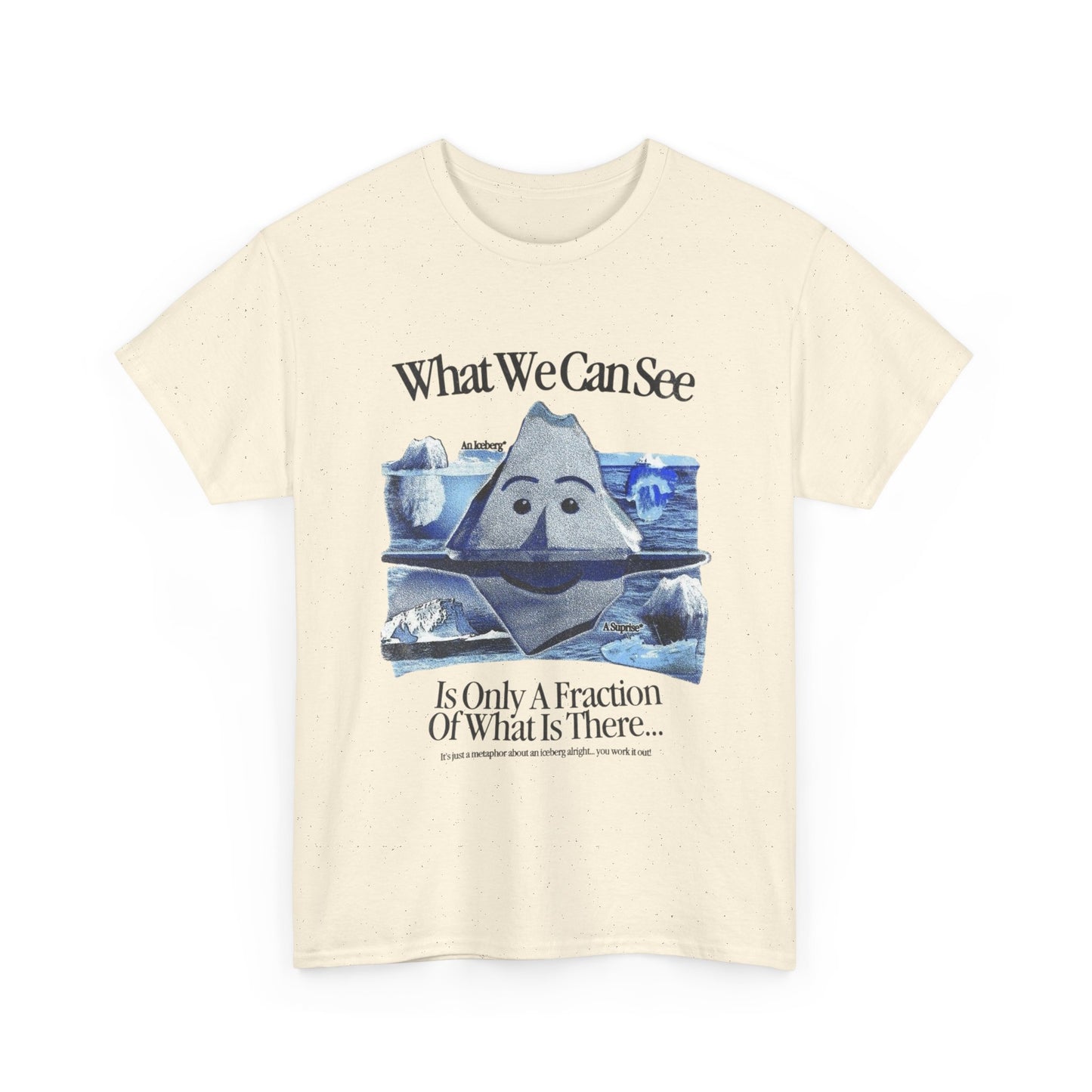 What We Can See Iceberg Graphic T Shirt Unisex Gift New AMERICAN VINTAGE