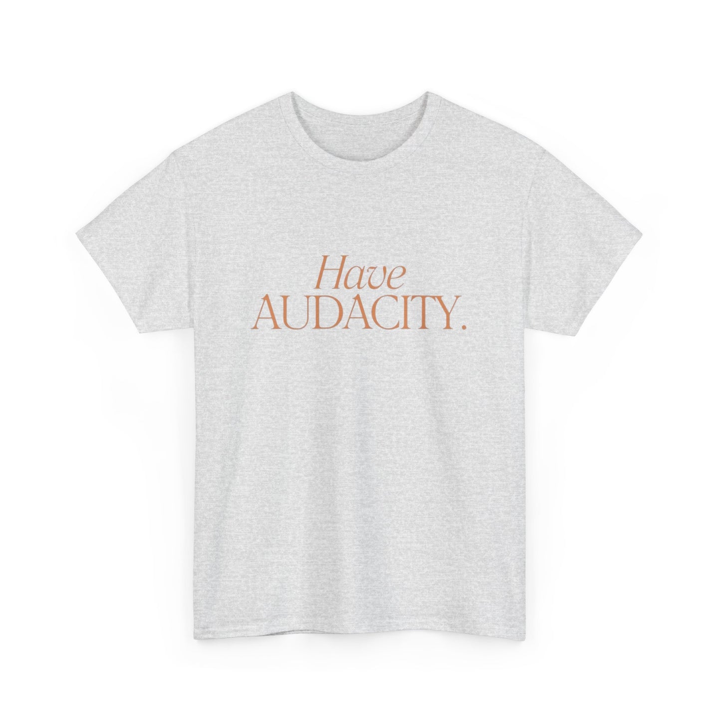 Have Audacity Graphic T Shirt NEW ADULT TEE VINTAGE