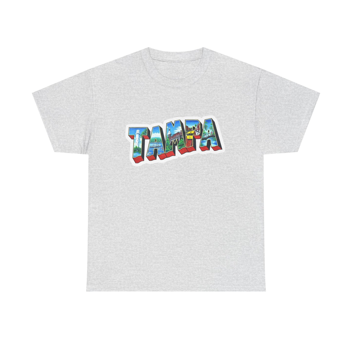 Tampa Bay FL Graphic T Shirt NEW ADULT