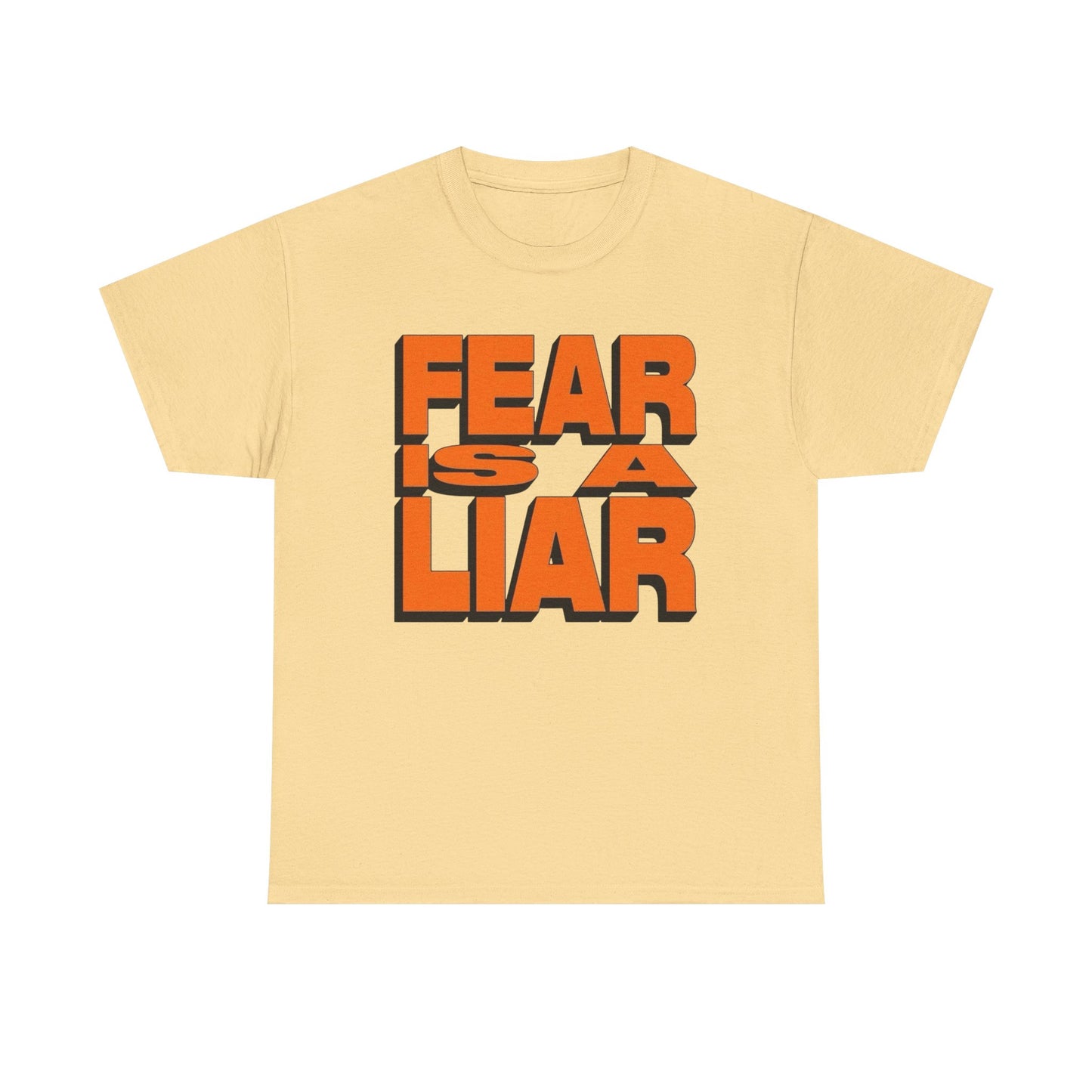 Fear Is A Liar Graphic T-Shirt Unisex Heavy Cotton Tee Gift