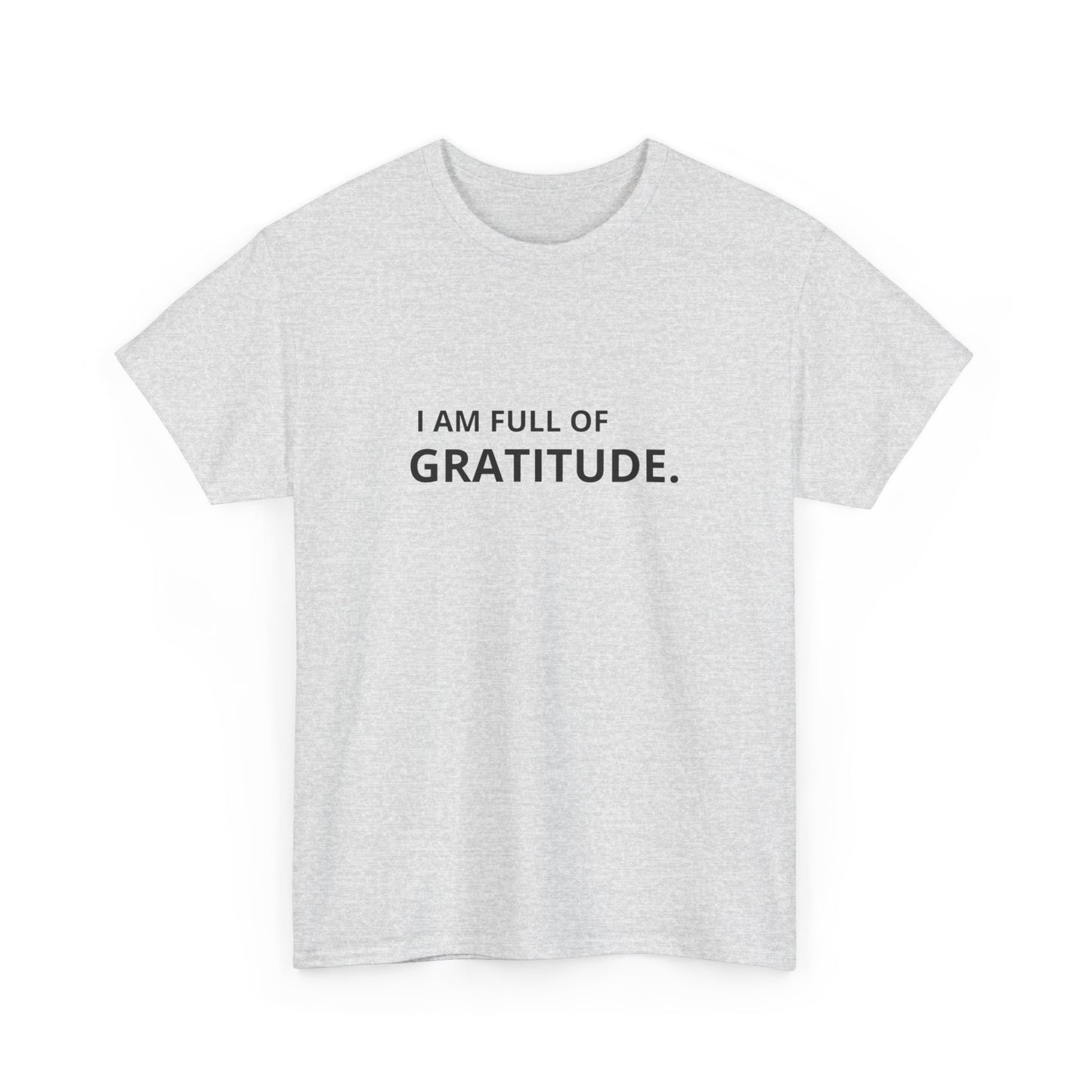 I Am Full Of Gratitude Graphic T Shirt NEW ADULT Tee