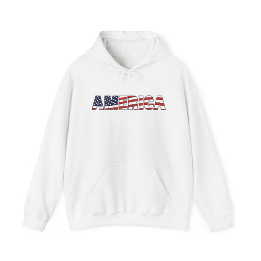 America Flag MULTIPLE COLORS Graphic Hoodie Unisex Heavy Blend Hooded Sweatshirt