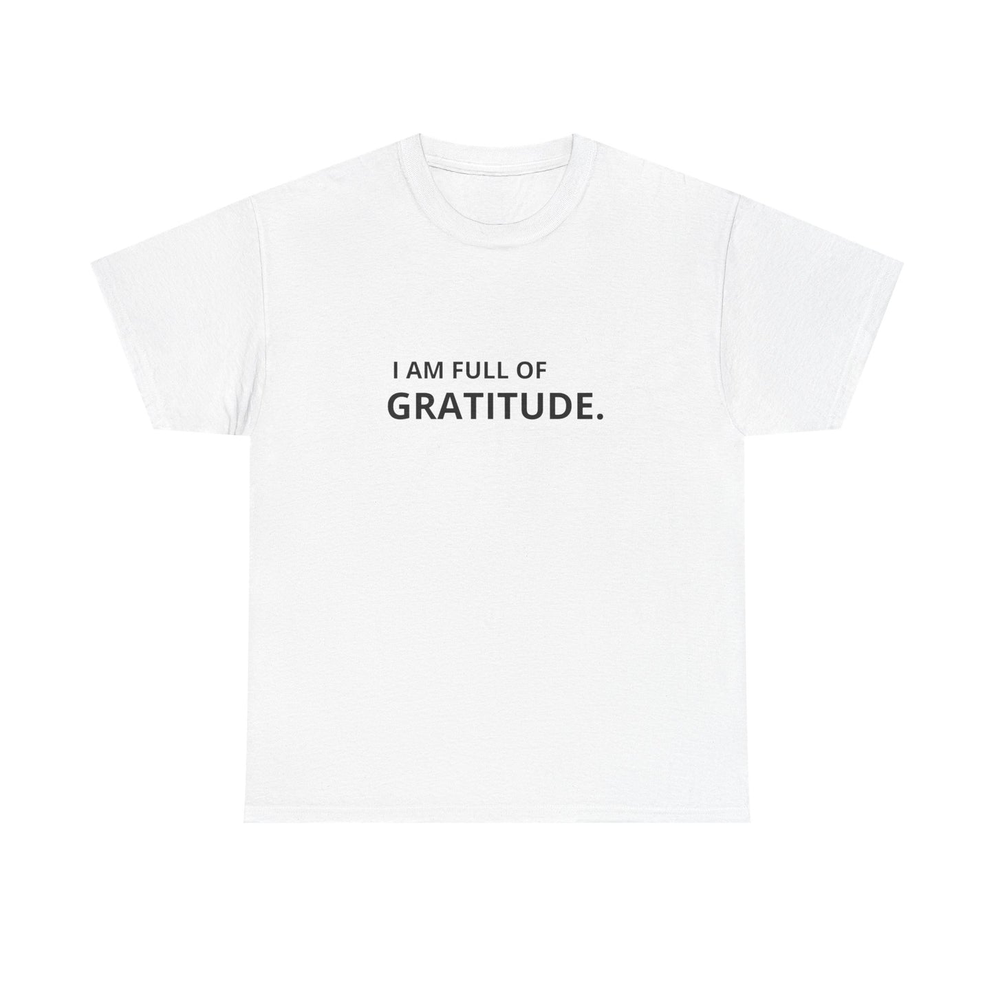 I Am Full Of Gratitude Graphic T Shirt NEW ADULT Tee