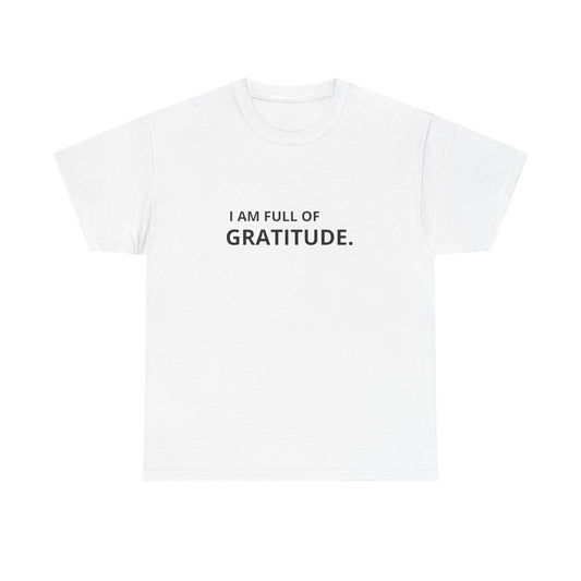 I Am Full Of Gratitude Graphic T Shirt NEW ADULT Tee