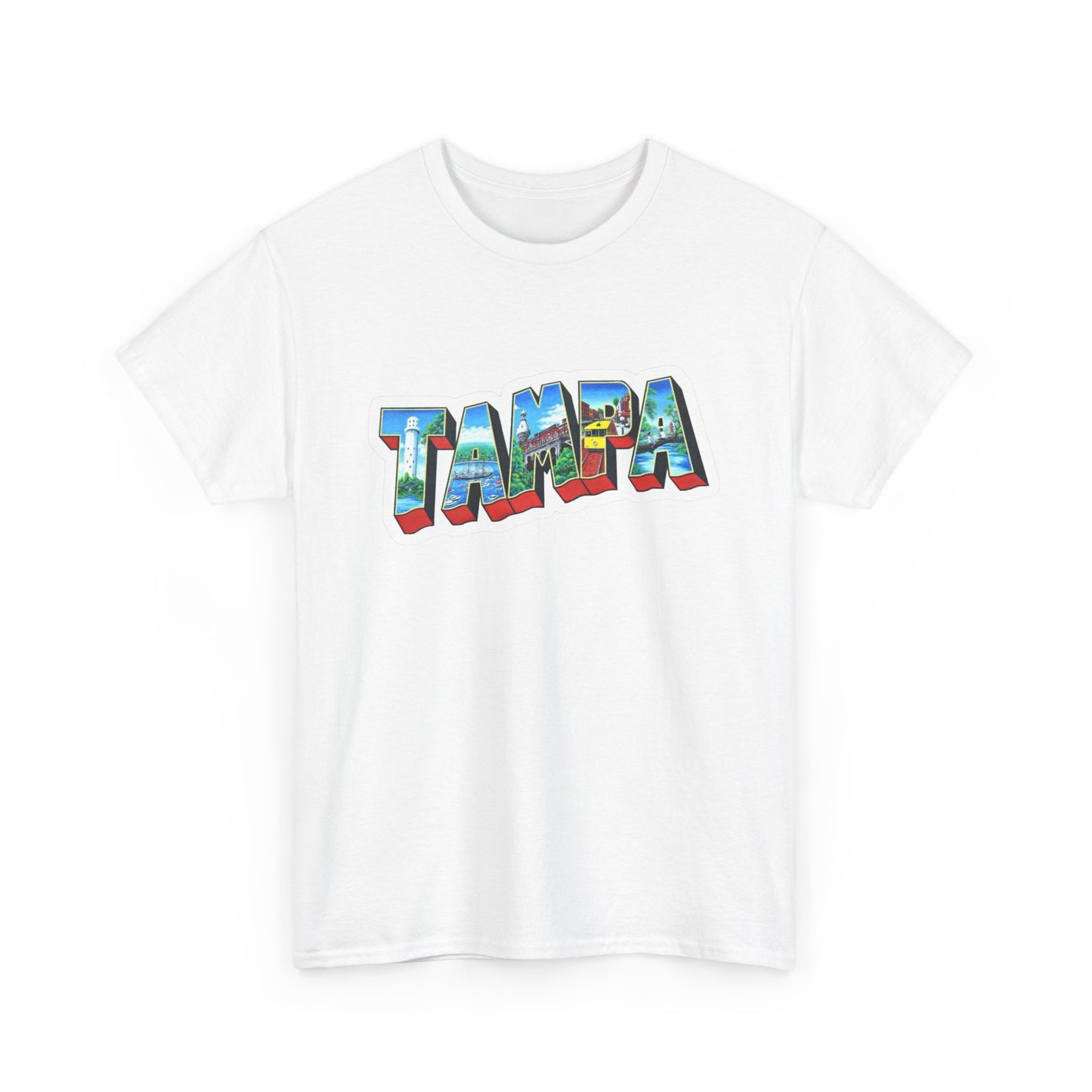 Tampa Bay FL Graphic T Shirt NEW ADULT