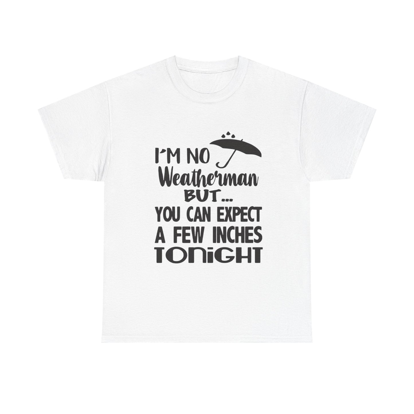 Hilarious Sex Humor Jokes Graphic T Shirt ADULT Unisex Heavy Cotton Tee
