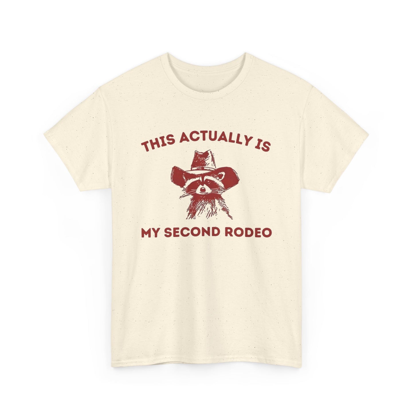 This Is My Second Rodeo Funny Graphic T Shirt Regular Men's Heavy Cotton Tee