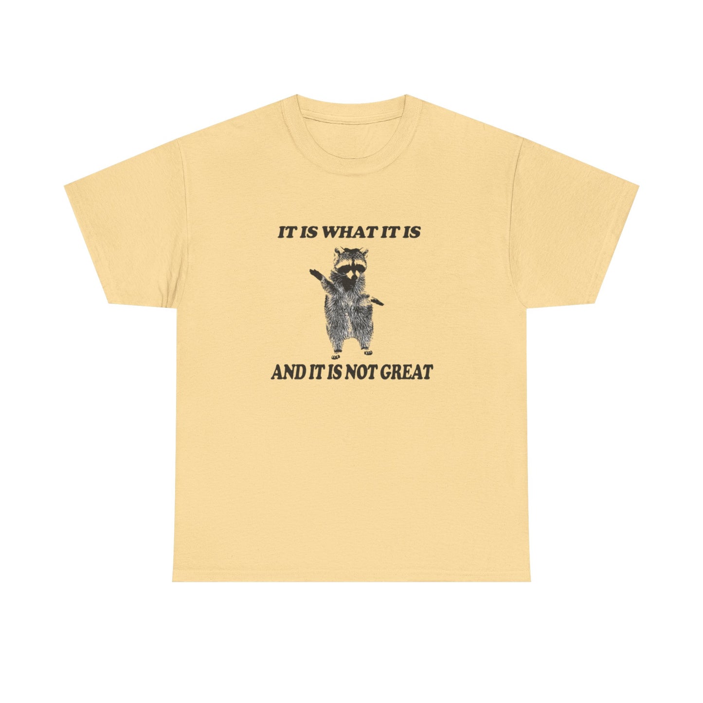 It Is What It Is Funny Raccoon Graphic T Shirt Unisex Heavy Cotton Tee