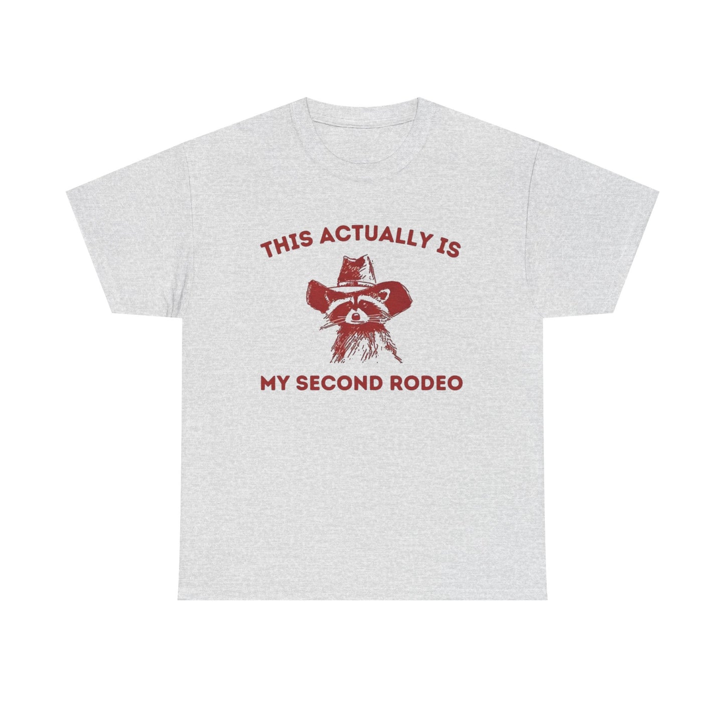 This Is My Second Rodeo Funny Graphic T Shirt Regular Men's Heavy Cotton Tee