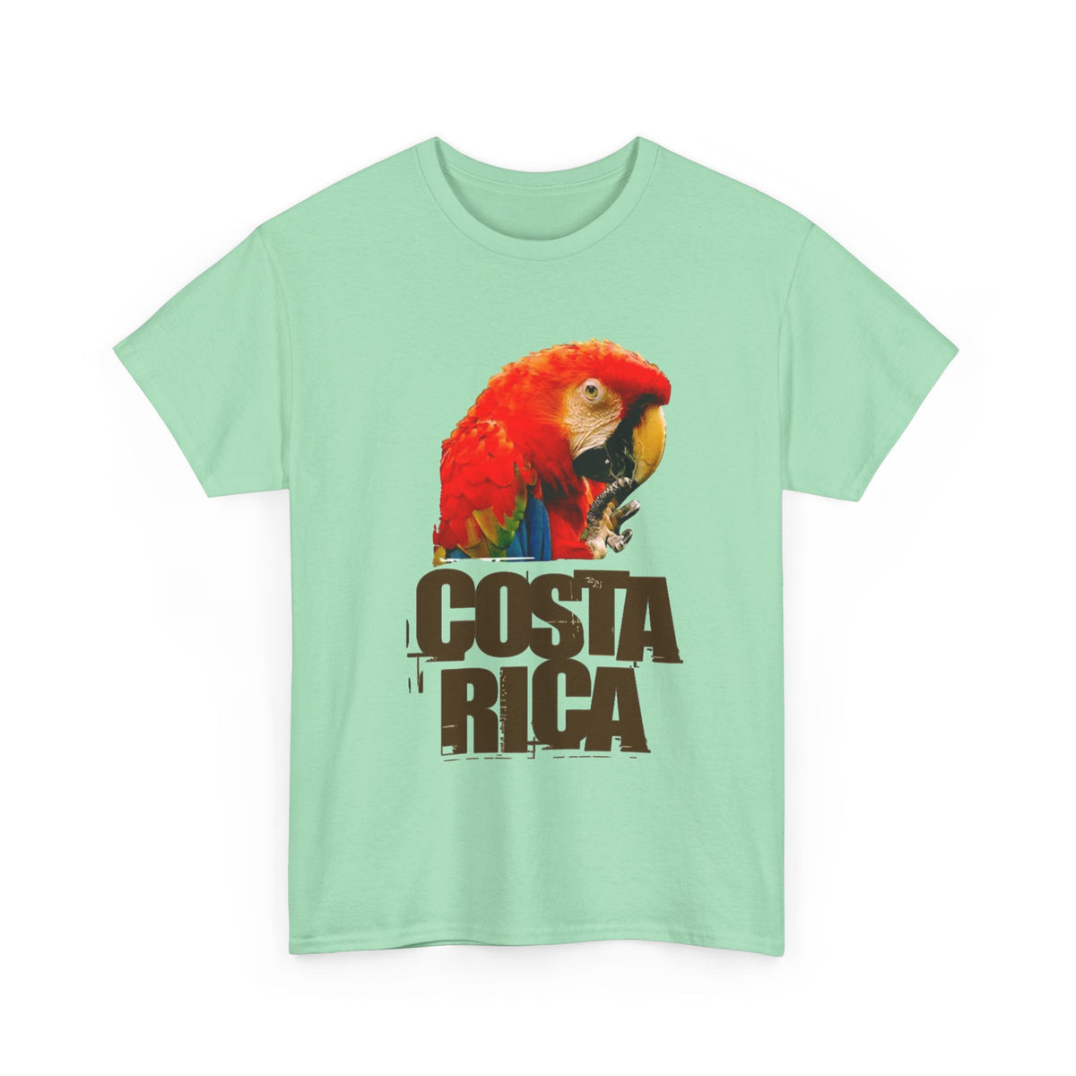 Costa Rica Birds Graphic T Shirt Men's Retro  Heavy Cotton Tee
