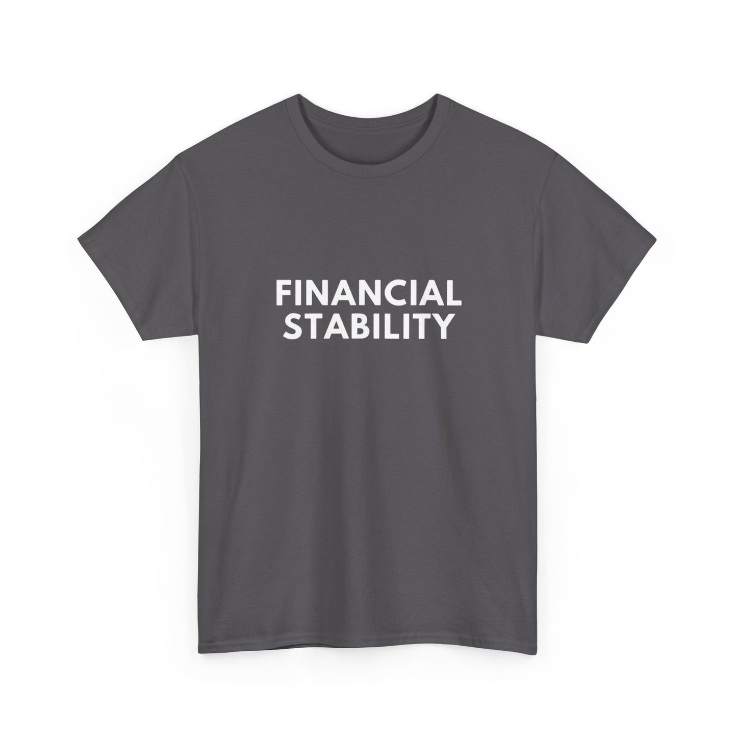 Financial Stability Graphic T Shirt NEW ADULT Tee