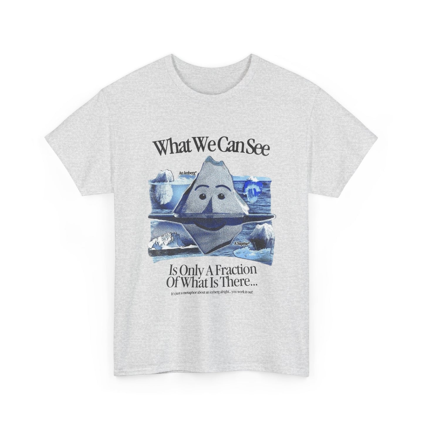 What We Can See Iceberg Graphic T Shirt Unisex Gift New AMERICAN VINTAGE