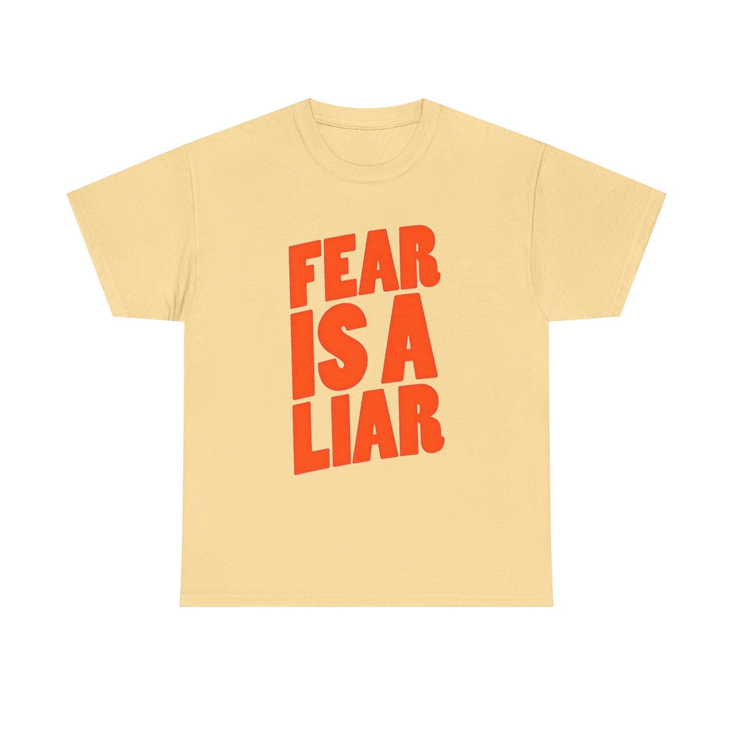 Fear Is A Liar Graphic T Shirt NEW Unisex Heavy Cotton Tee