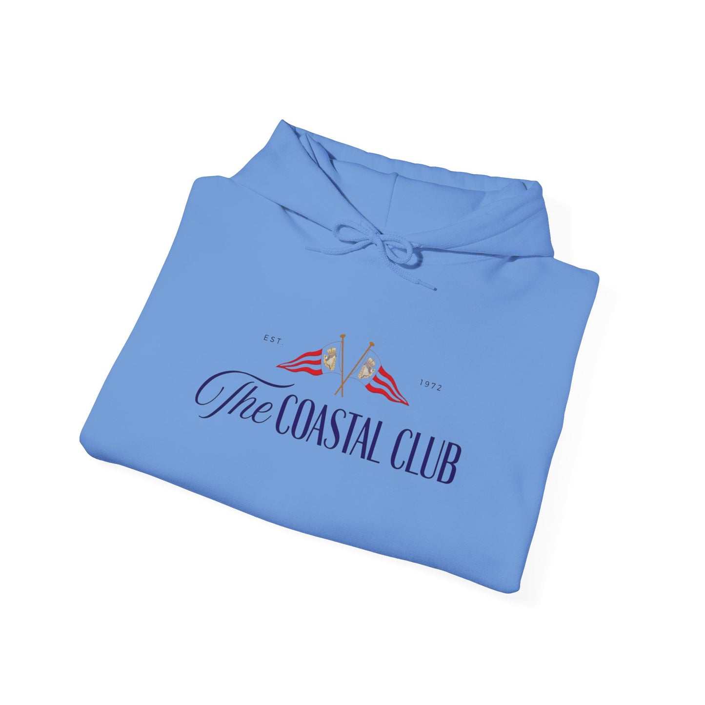 The Coastal Club Retro Graphic Hoodie Unisex Heavy Blend™ Hooded Sweatshirt