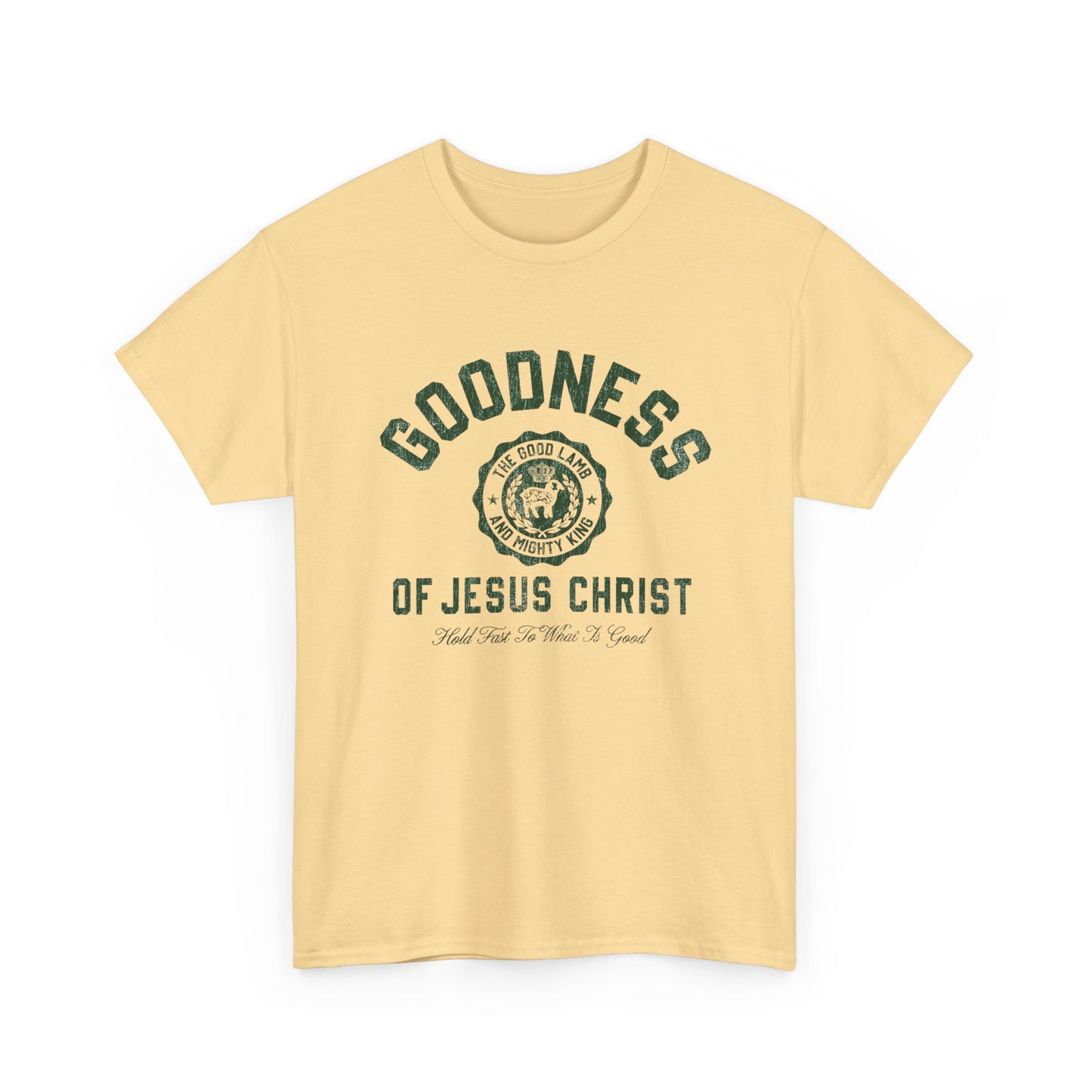 Goodness Of Jesus Christ Graphic T Shirt ADULT NEW