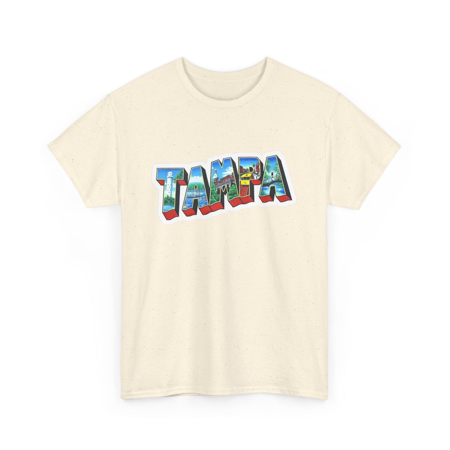 Tampa Bay FL Graphic T Shirt NEW ADULT