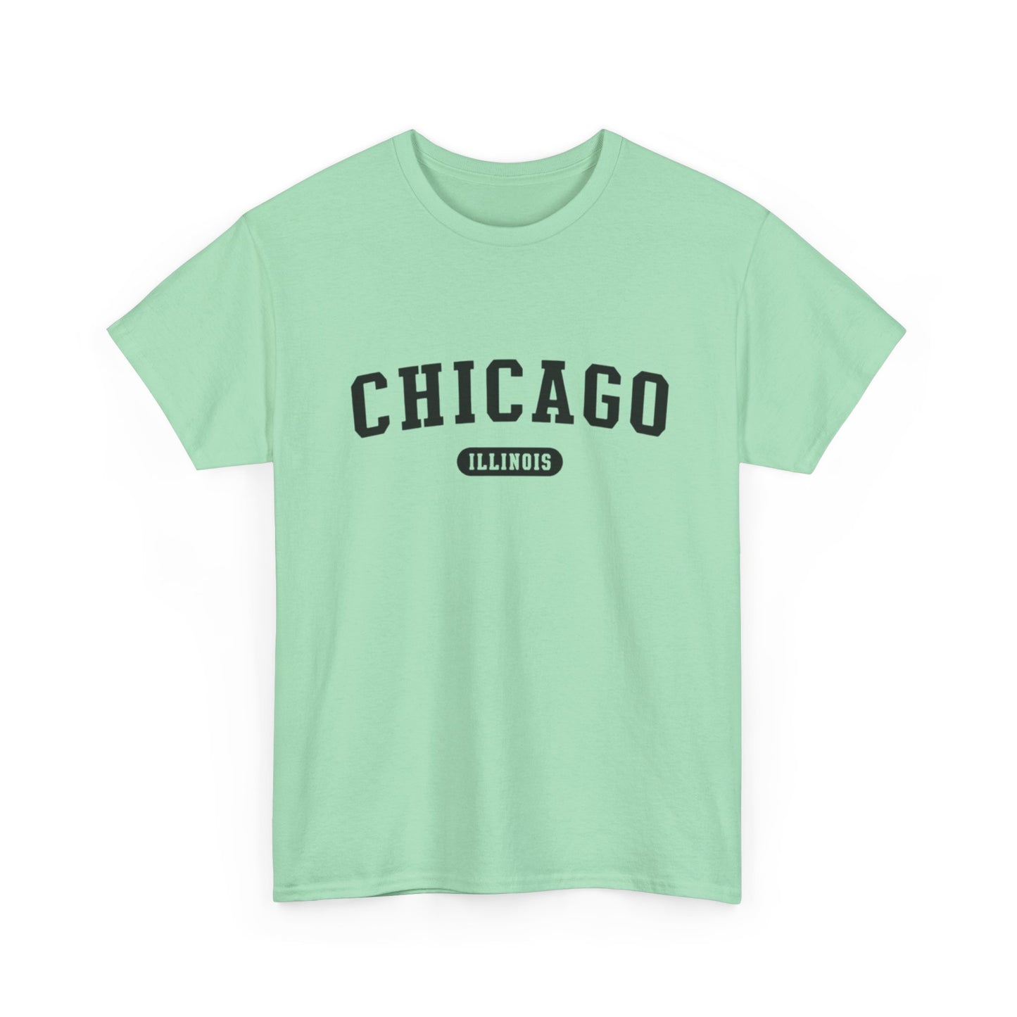 Chicago Illinois Graphic T Shirt ADULT NEW