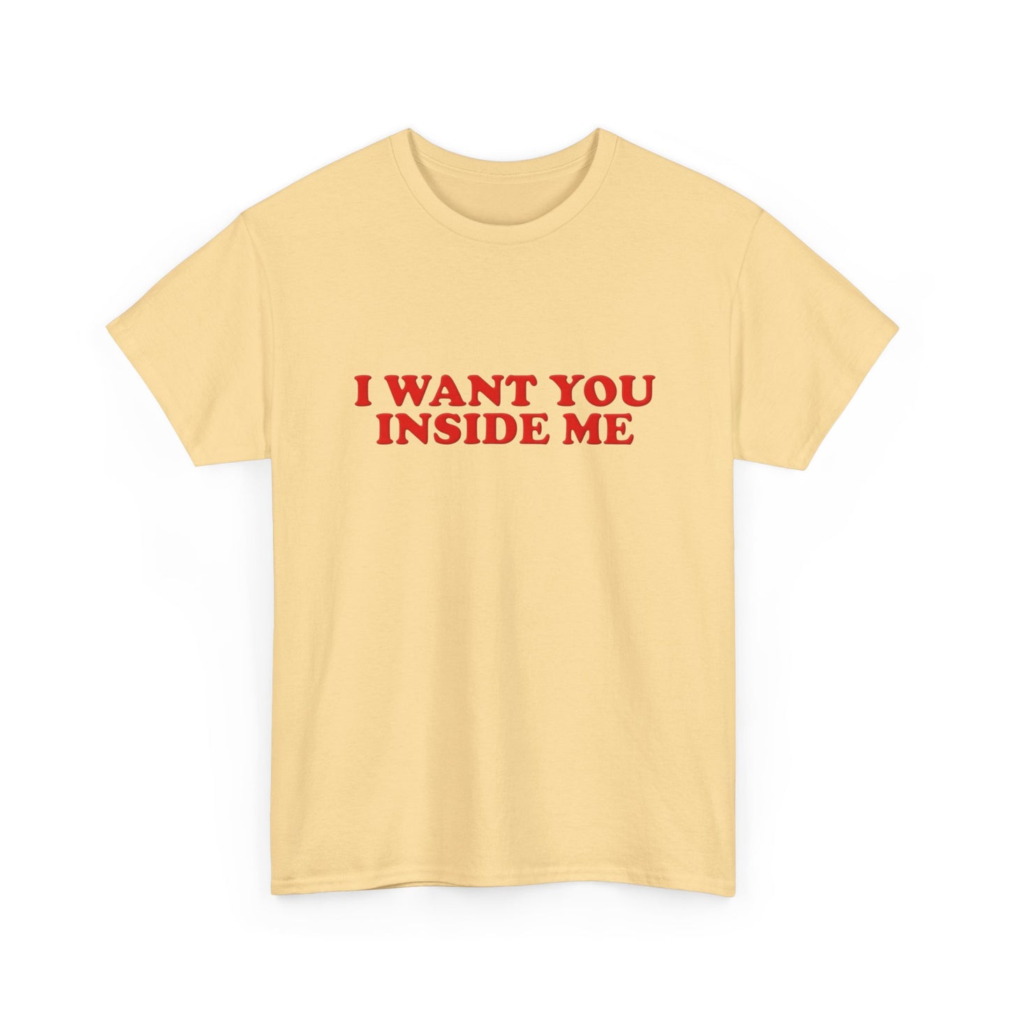 I Want You Inside Me Funny Sex Humor Graphic T Shirt NEW Unisex Heavy Cotton Tee