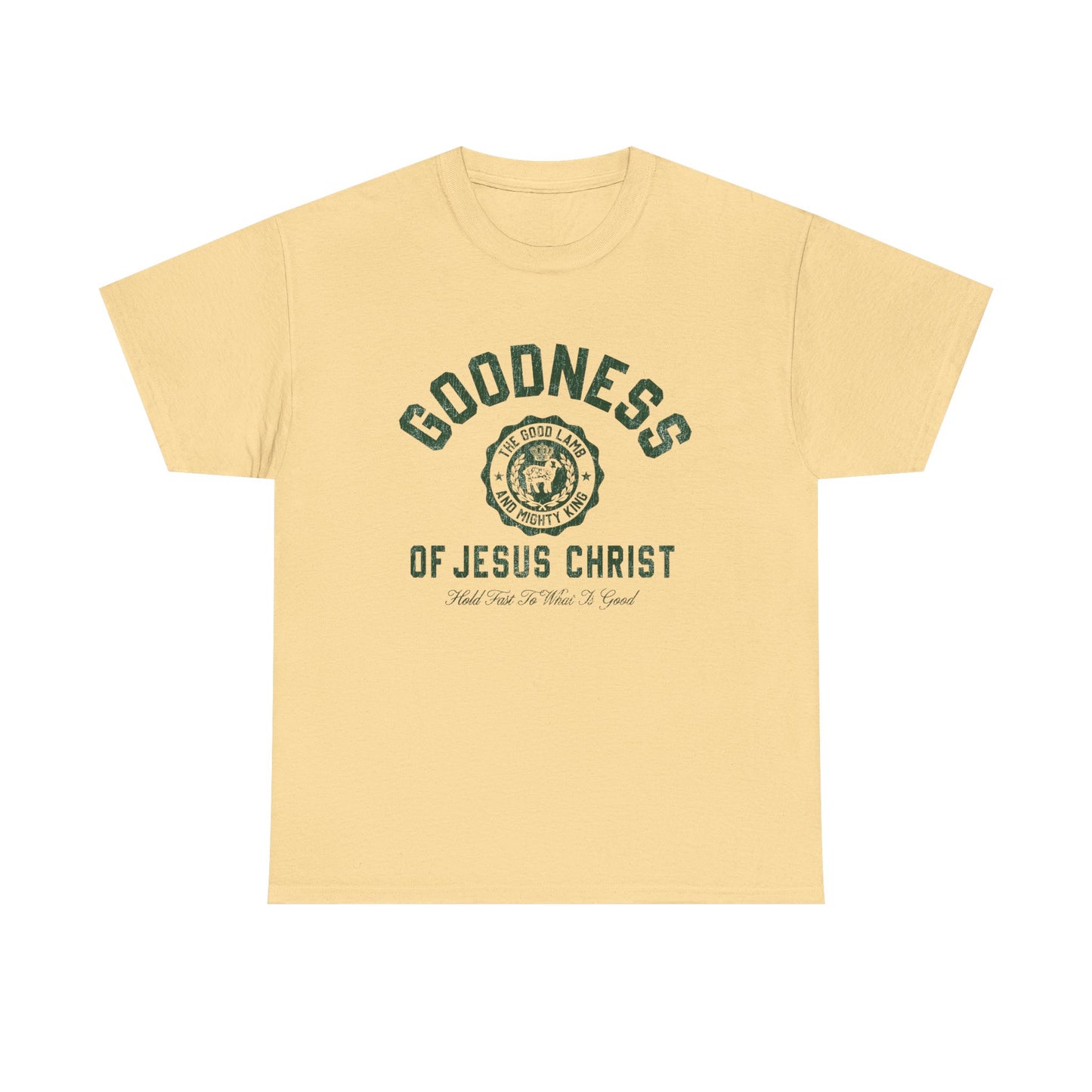 Goodness Of Jesus Christ Graphic T Shirt ADULT NEW