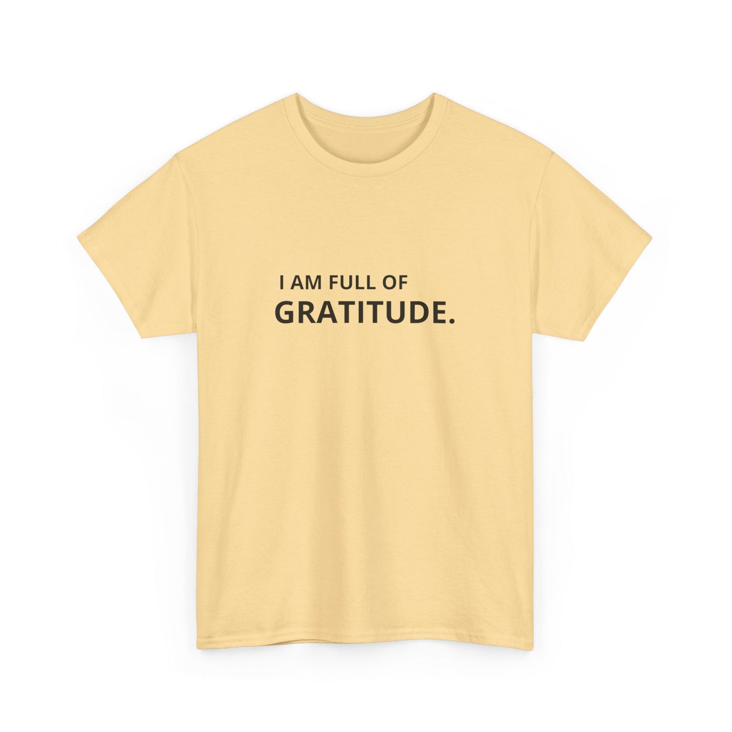 I Am Full Of Gratitude Graphic T Shirt NEW ADULT Tee