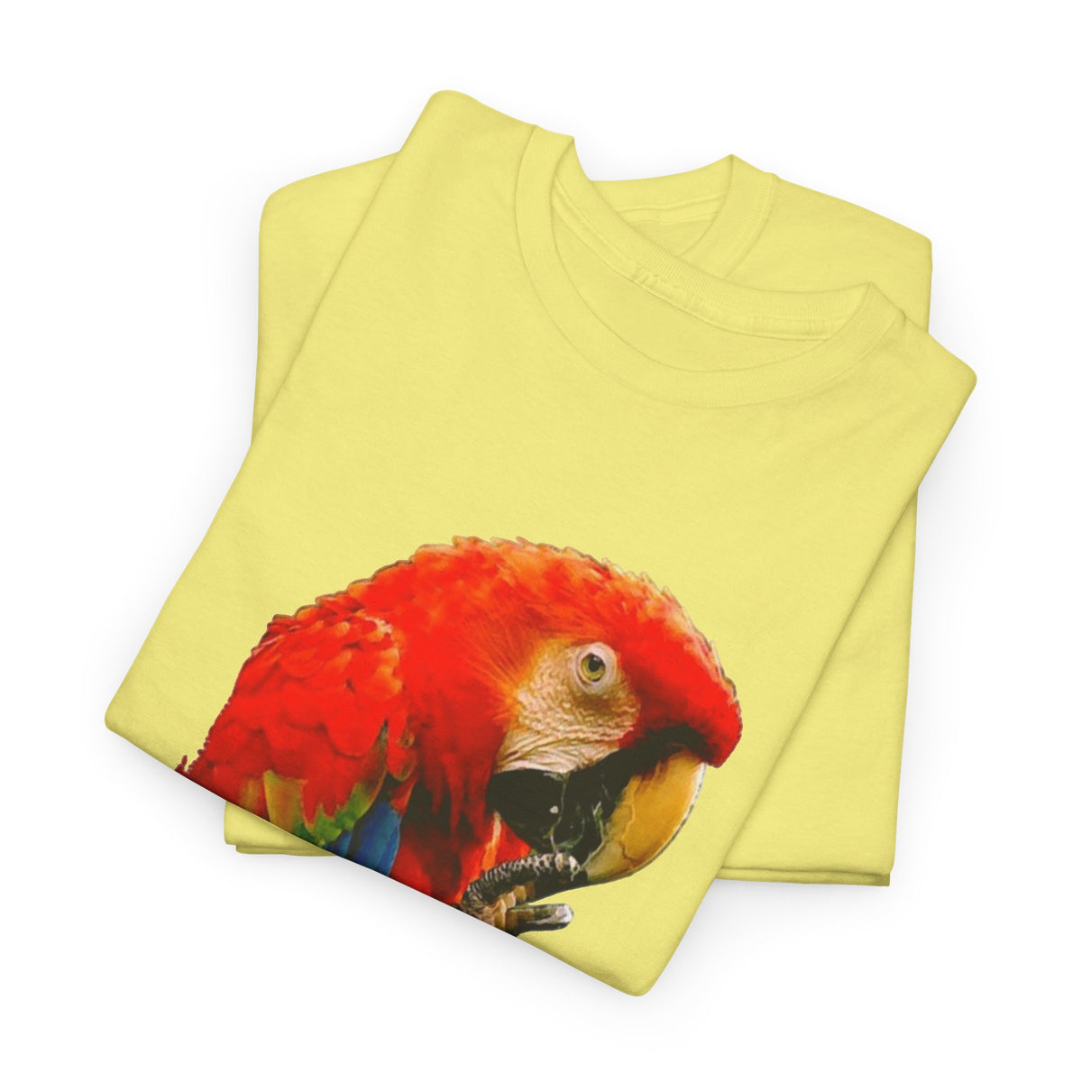 Costa Rica Birds Graphic T Shirt Men's Retro  Heavy Cotton Tee