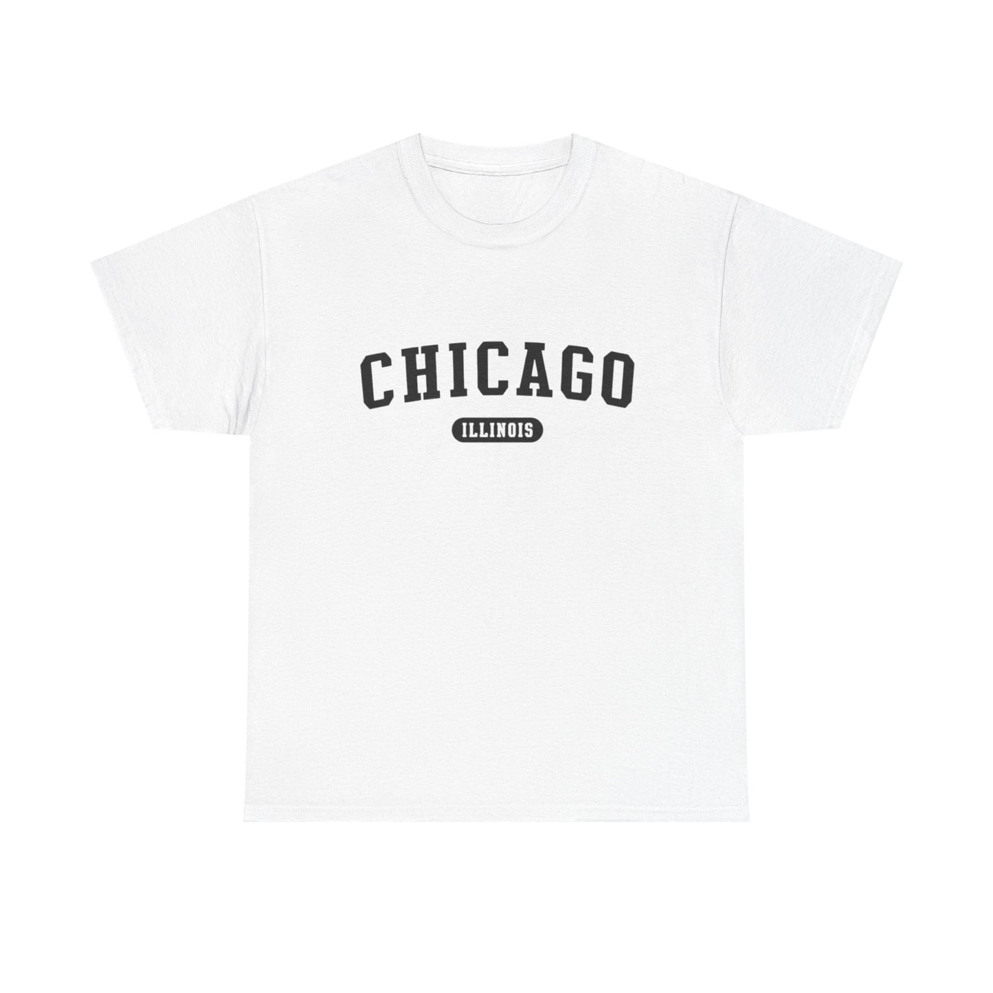 Chicago Illinois Graphic T Shirt ADULT NEW