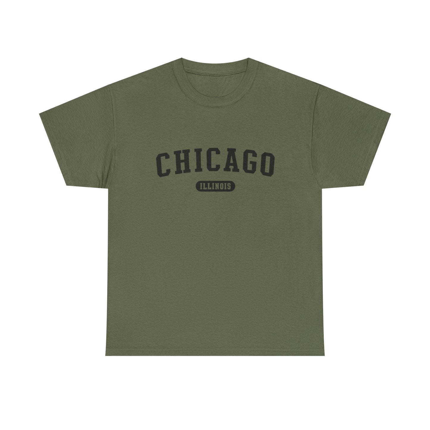 Chicago Illinois Graphic T Shirt ADULT NEW