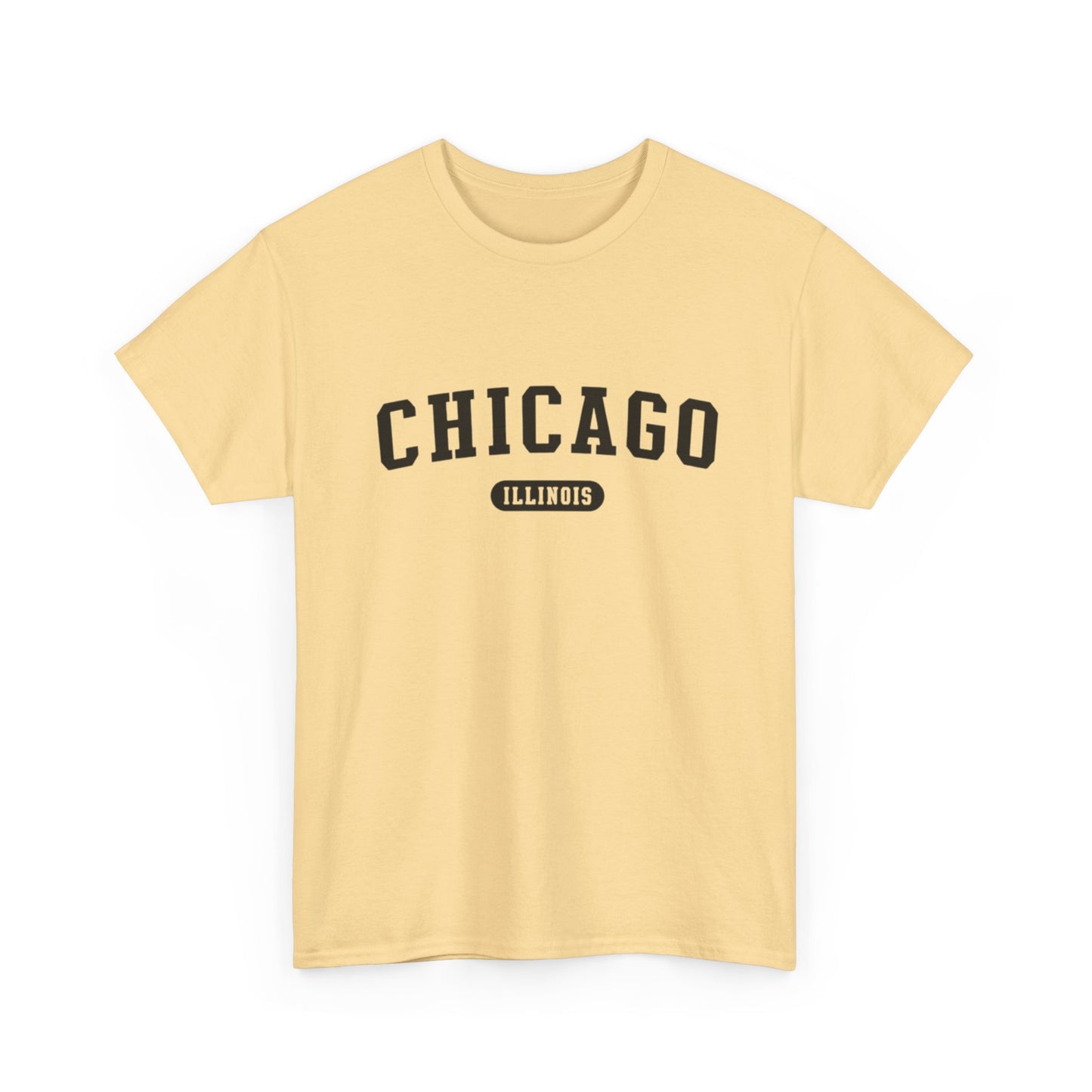 Chicago Illinois Graphic T Shirt ADULT NEW