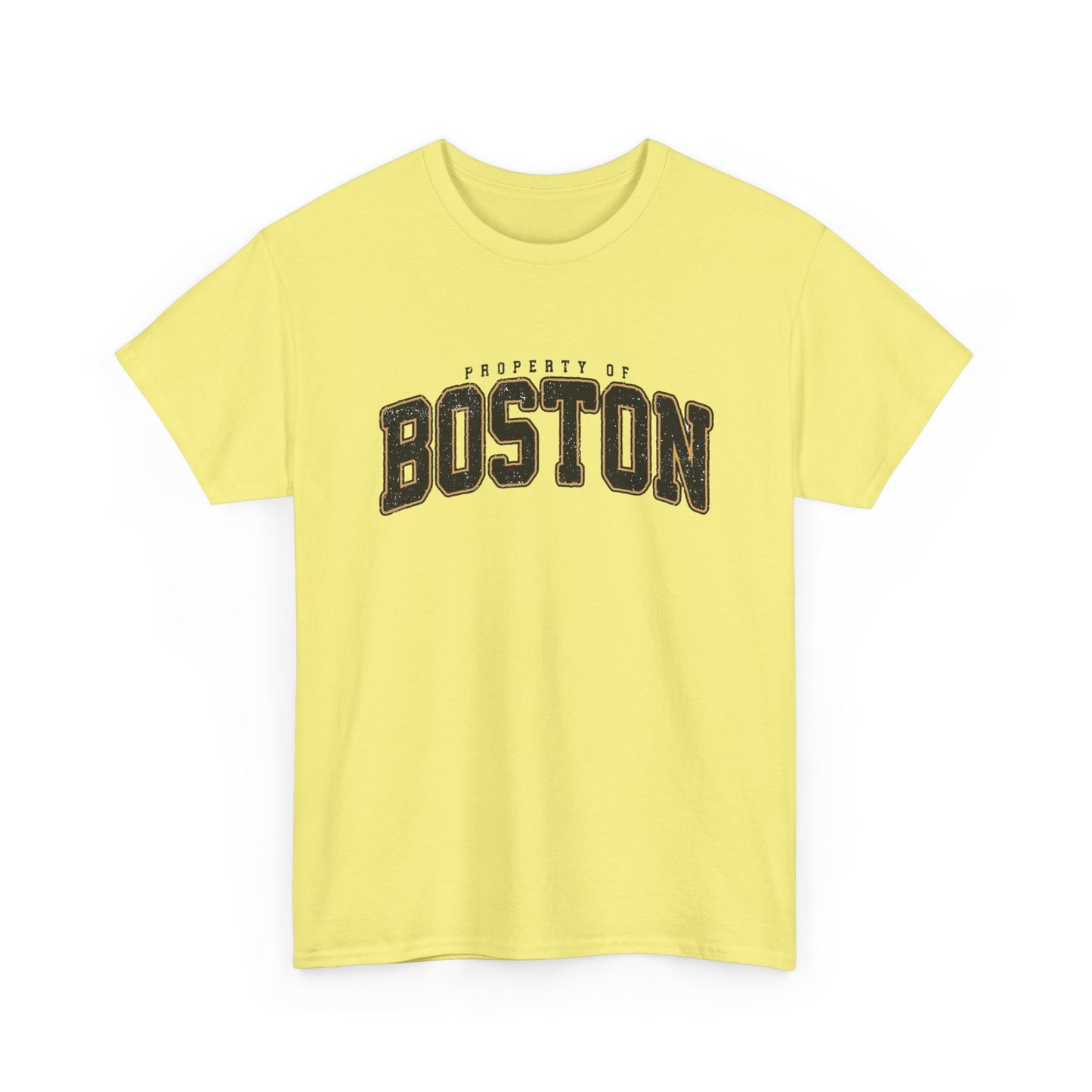 Property Of Boston Graphic T Shirt ADULT NEW