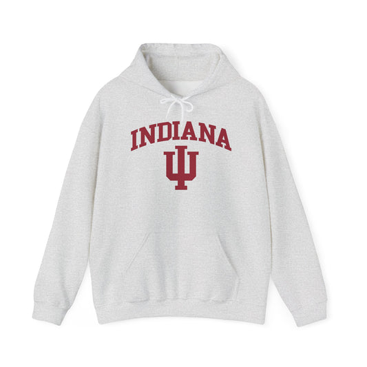 Indiana State Graphic Hoodie Unisex Heavy Blend™ Hooded Sweatshirt