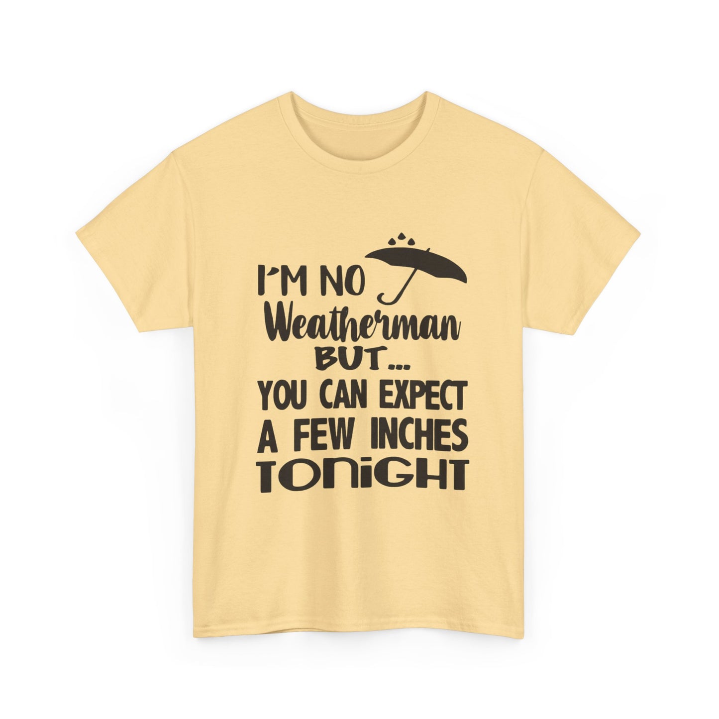 Hilarious Sex Humor Jokes Graphic T Shirt ADULT Unisex Heavy Cotton Tee