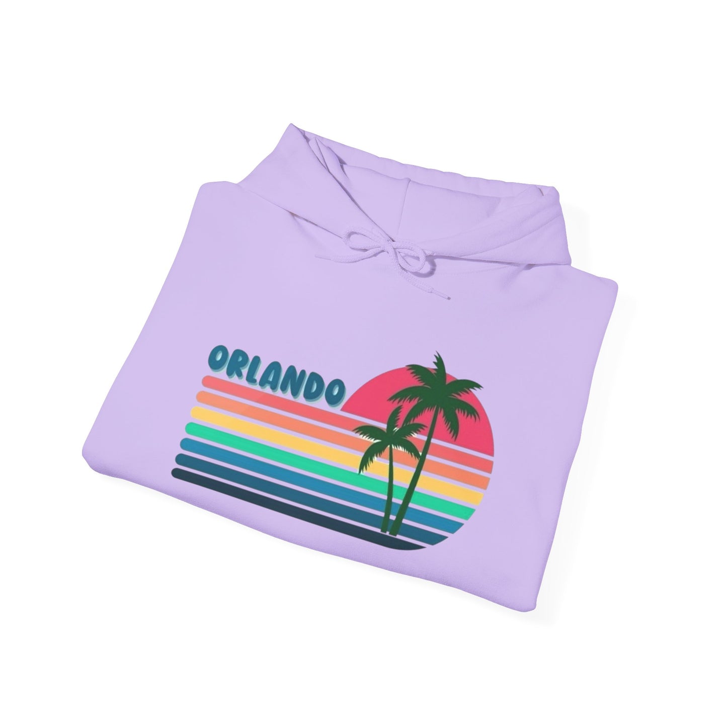 Orlando Florida Graphic Hoodie Hooded Sweatshirt NEW ADULT