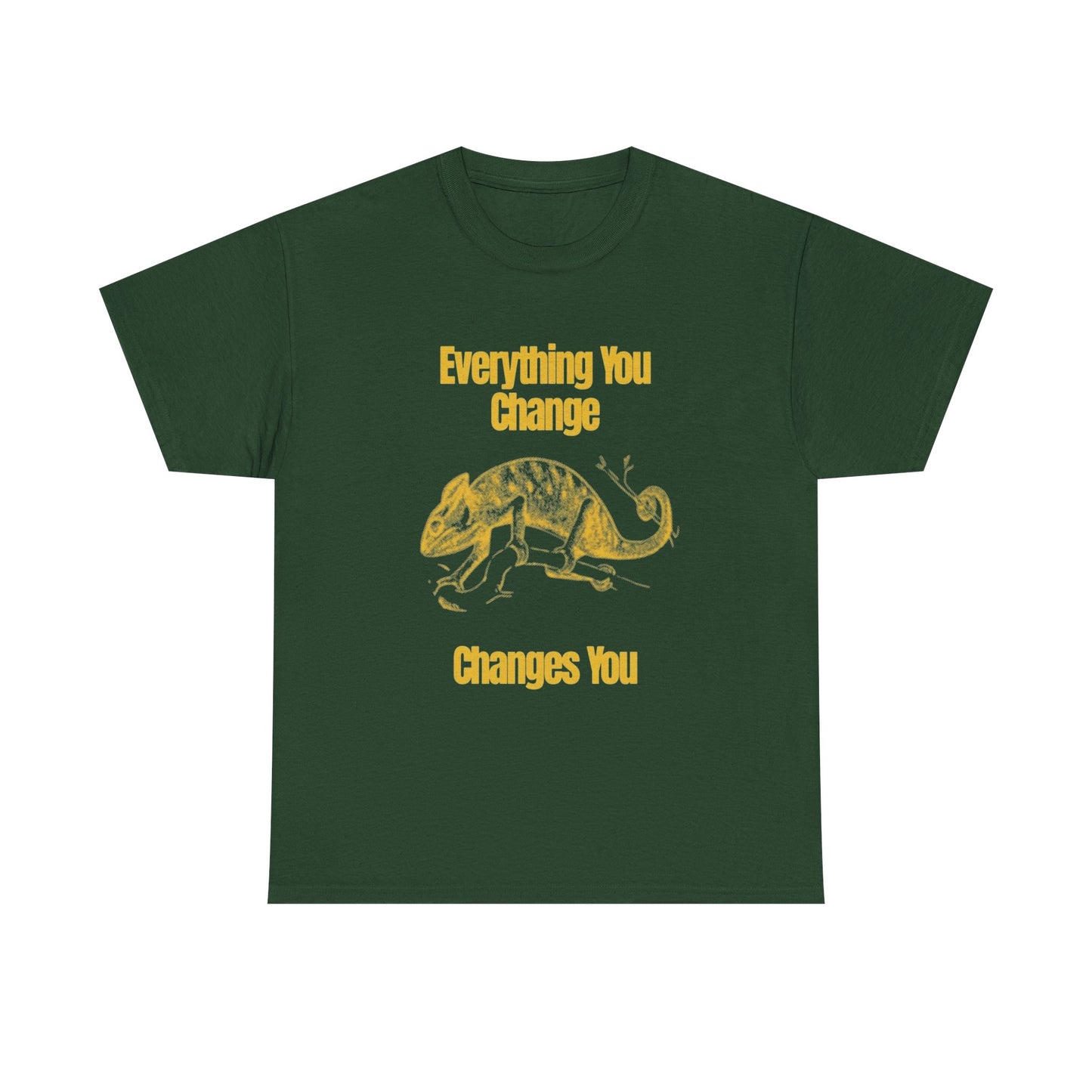 Everything You Change Changes You Graphic T Shirt Unisex Heavy Cotton Tee