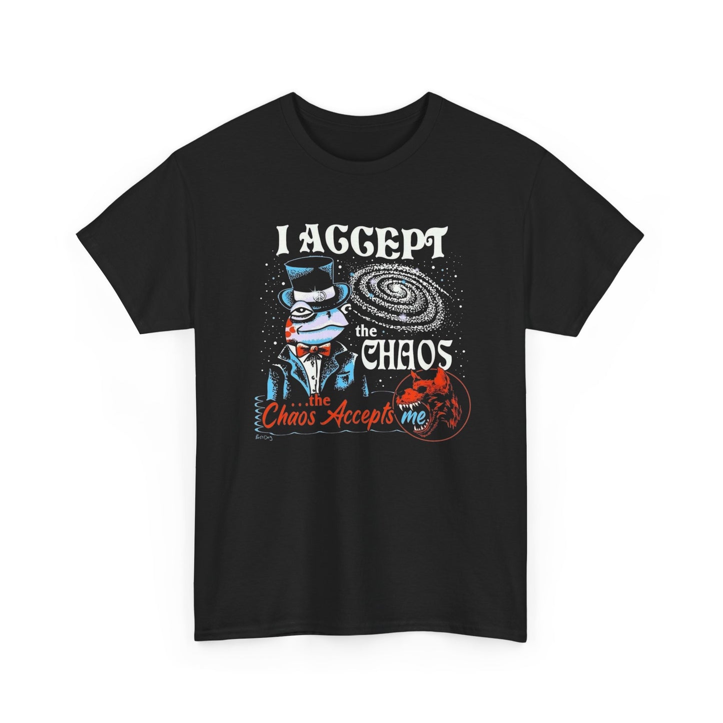 I Accept The Chaos Funny Graphic T Shirt Unisex Heavy Cotton Tee