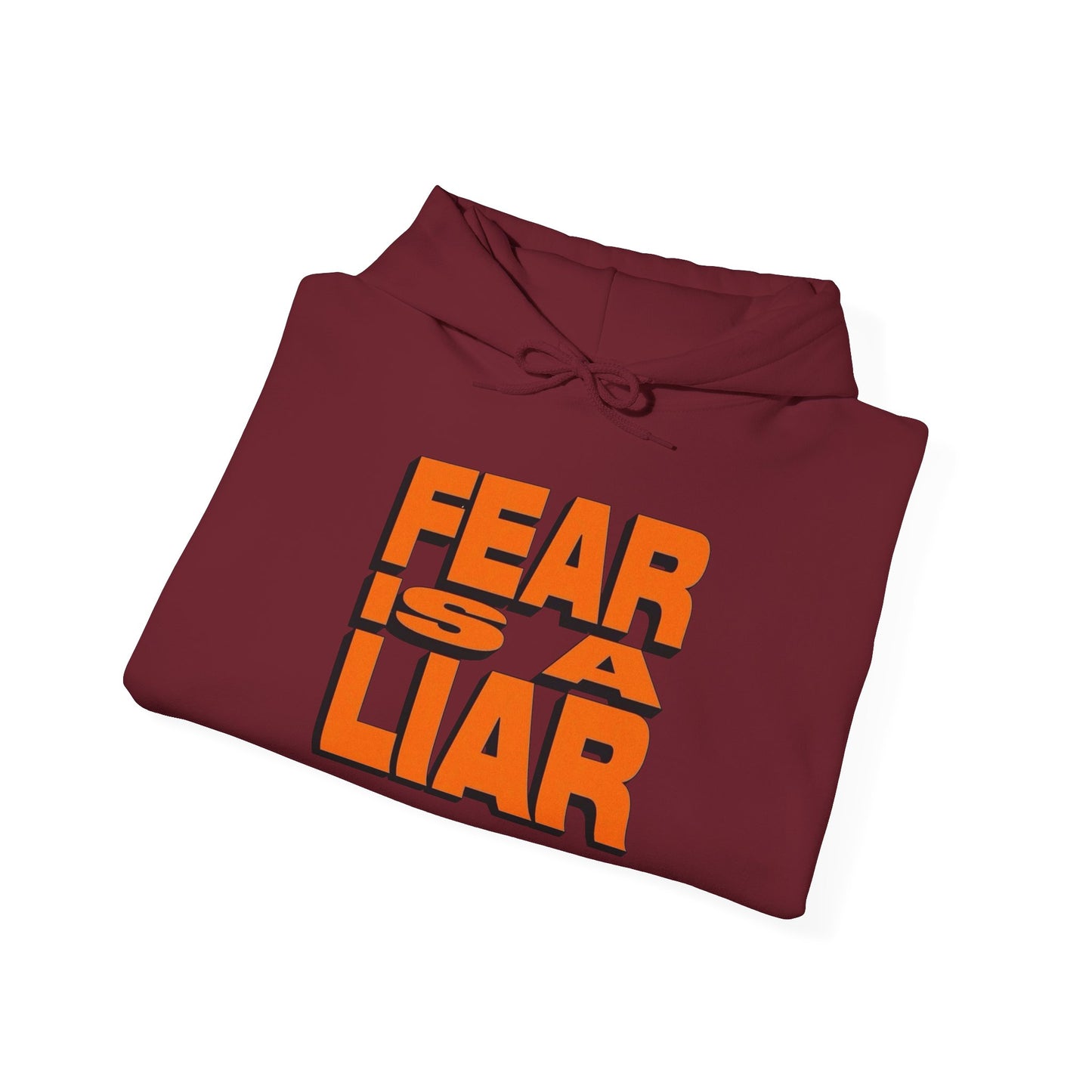 Fear Is A Liar Graphic Hoodie Unisex Heavy Blend™ Hooded Sweatshirt