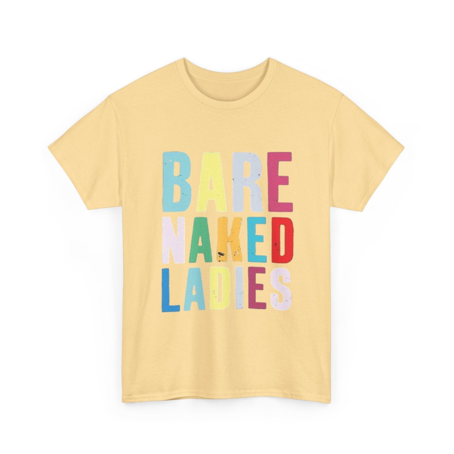 Bare Naked Ladies Tshirt Vintage Distressed Logo Merch Unisex Heavy Cotton Tee