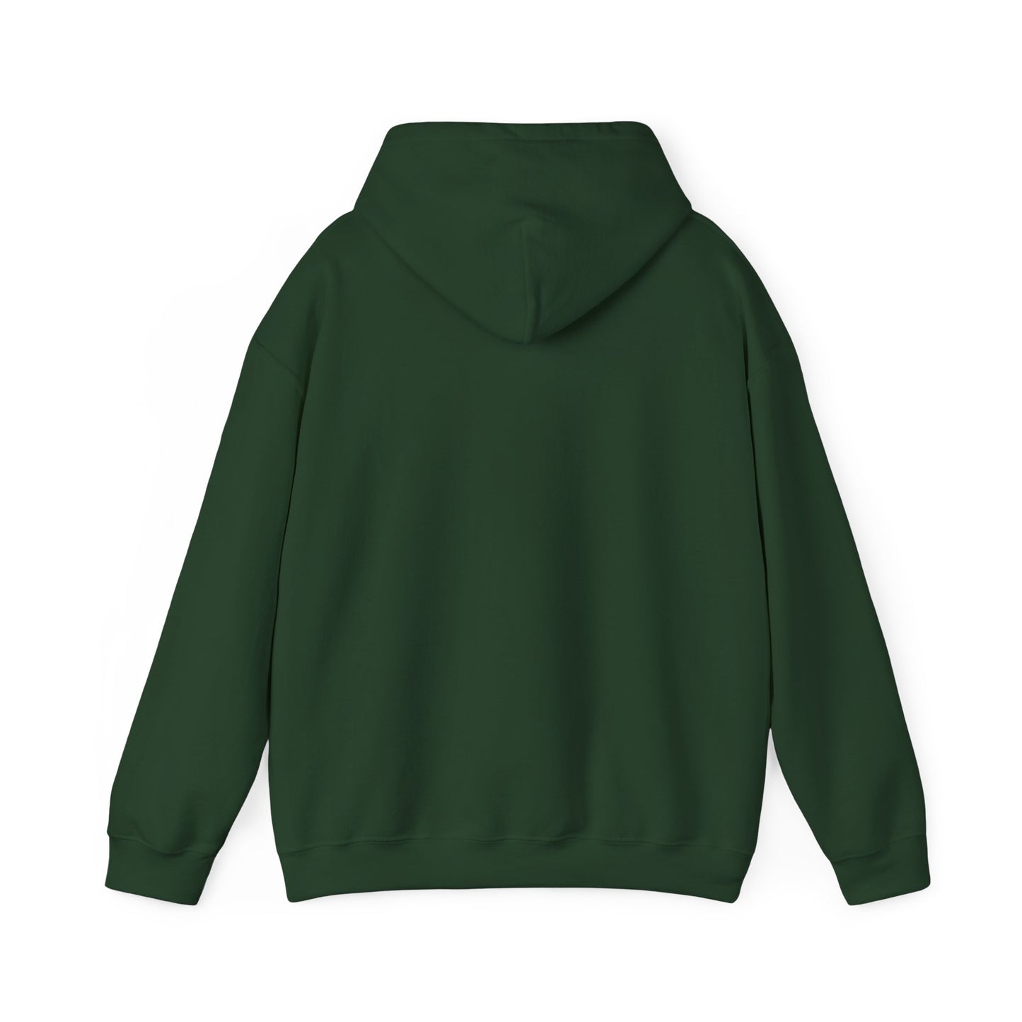 Washington Mount Rainier Hoodie NEW ADULT Unisex Hooded Sweatshirt